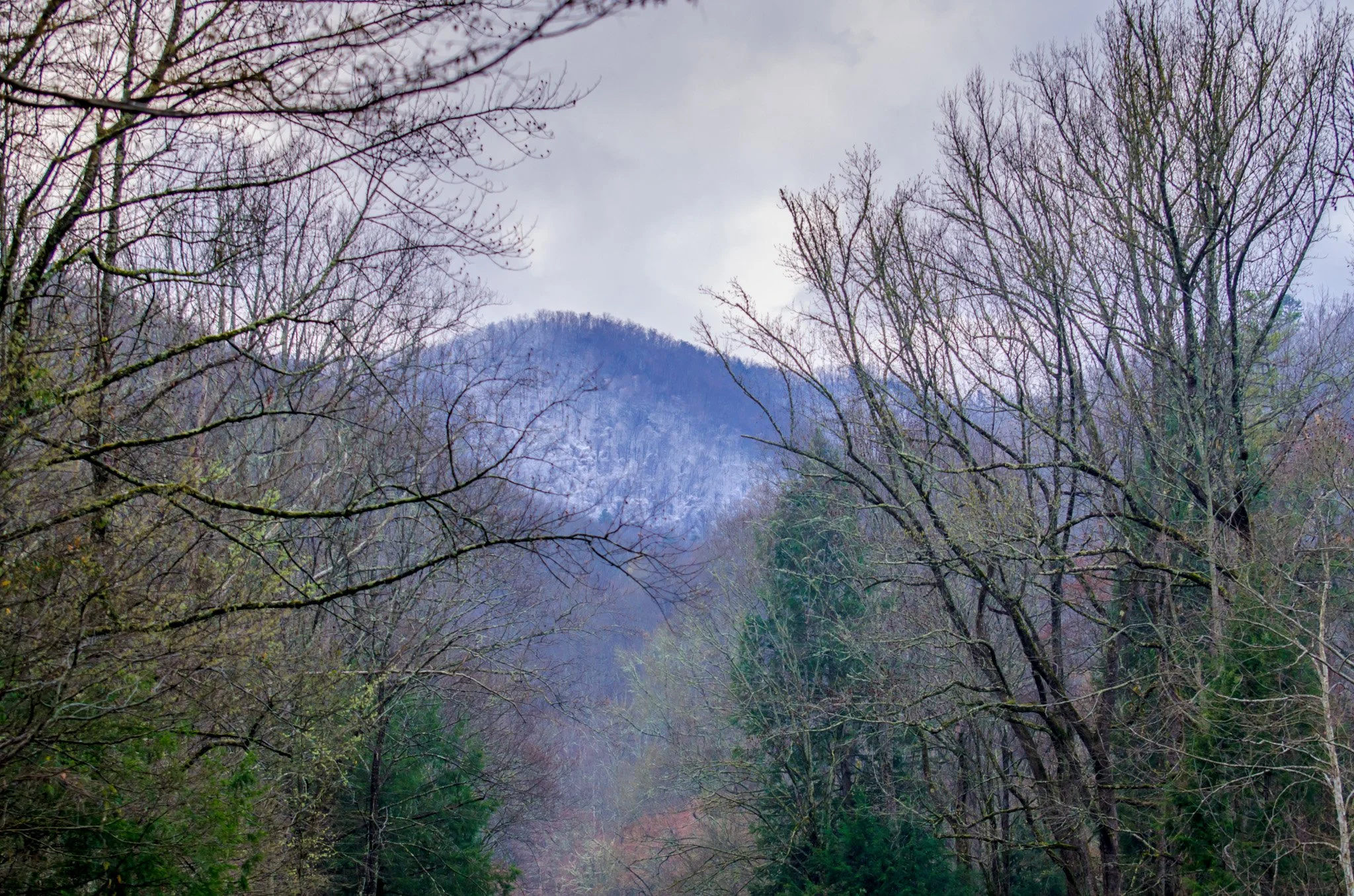 winter-65.jpg