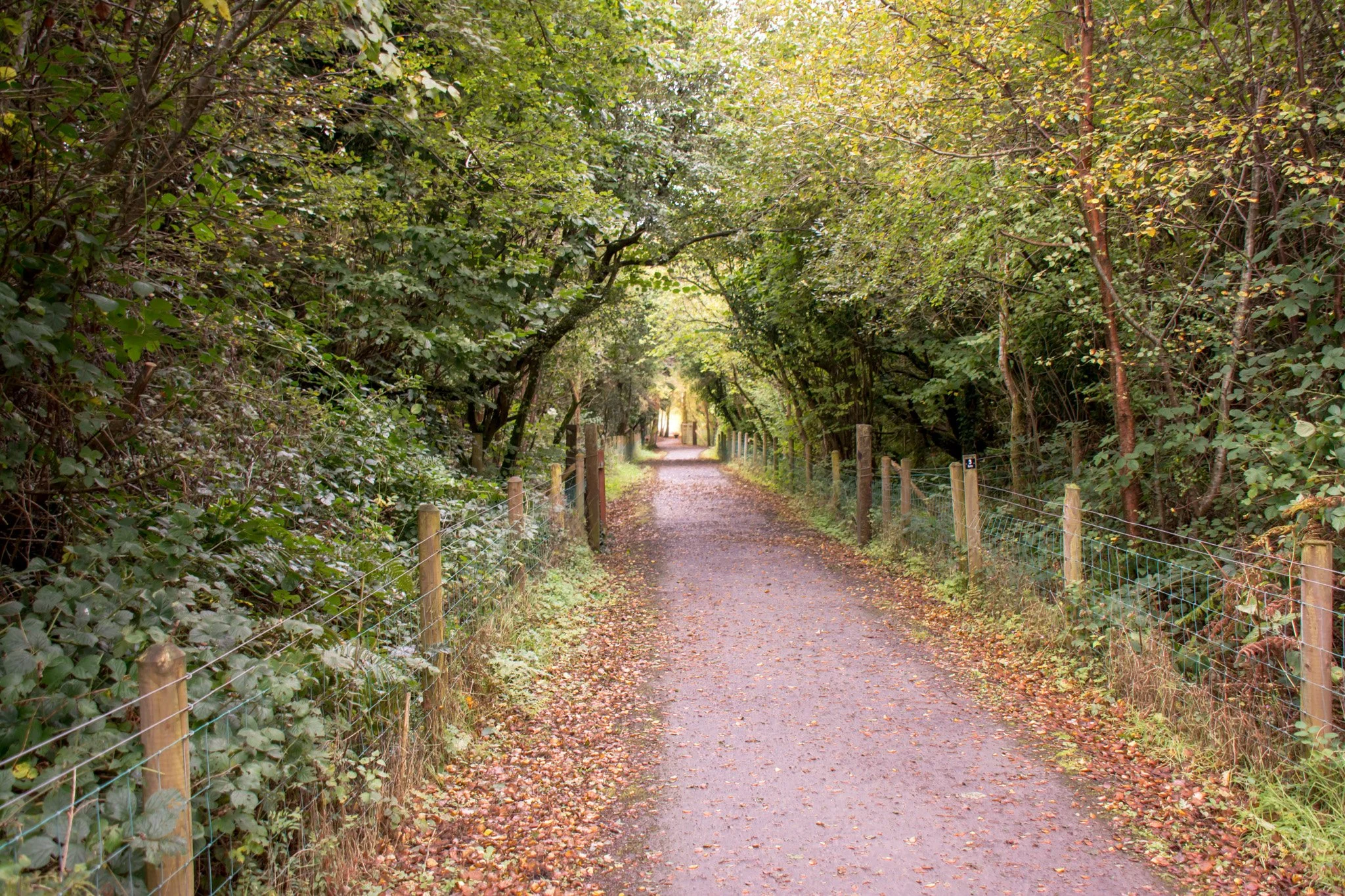 Ireland-26.jpg