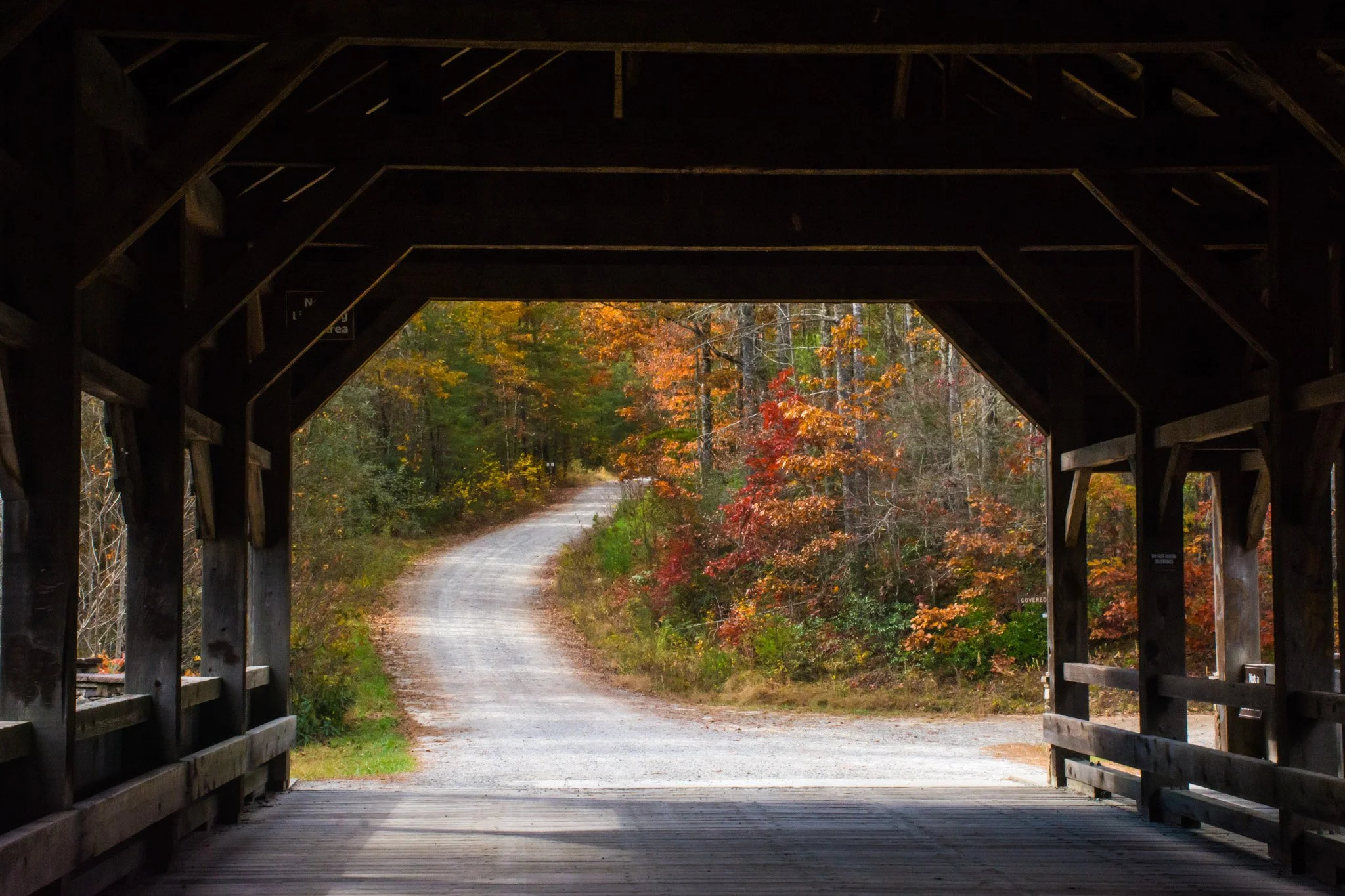 Autumn-25.jpg
