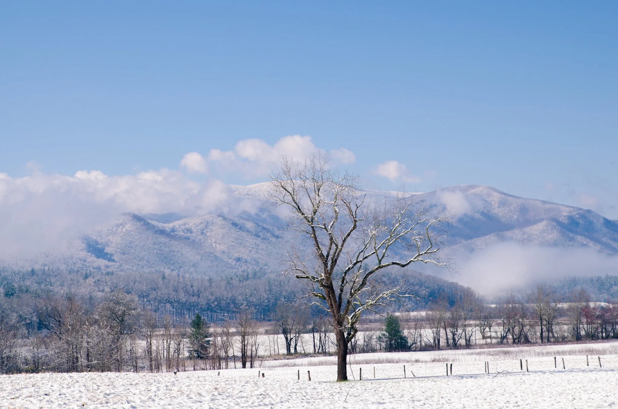 winter-29.jpg