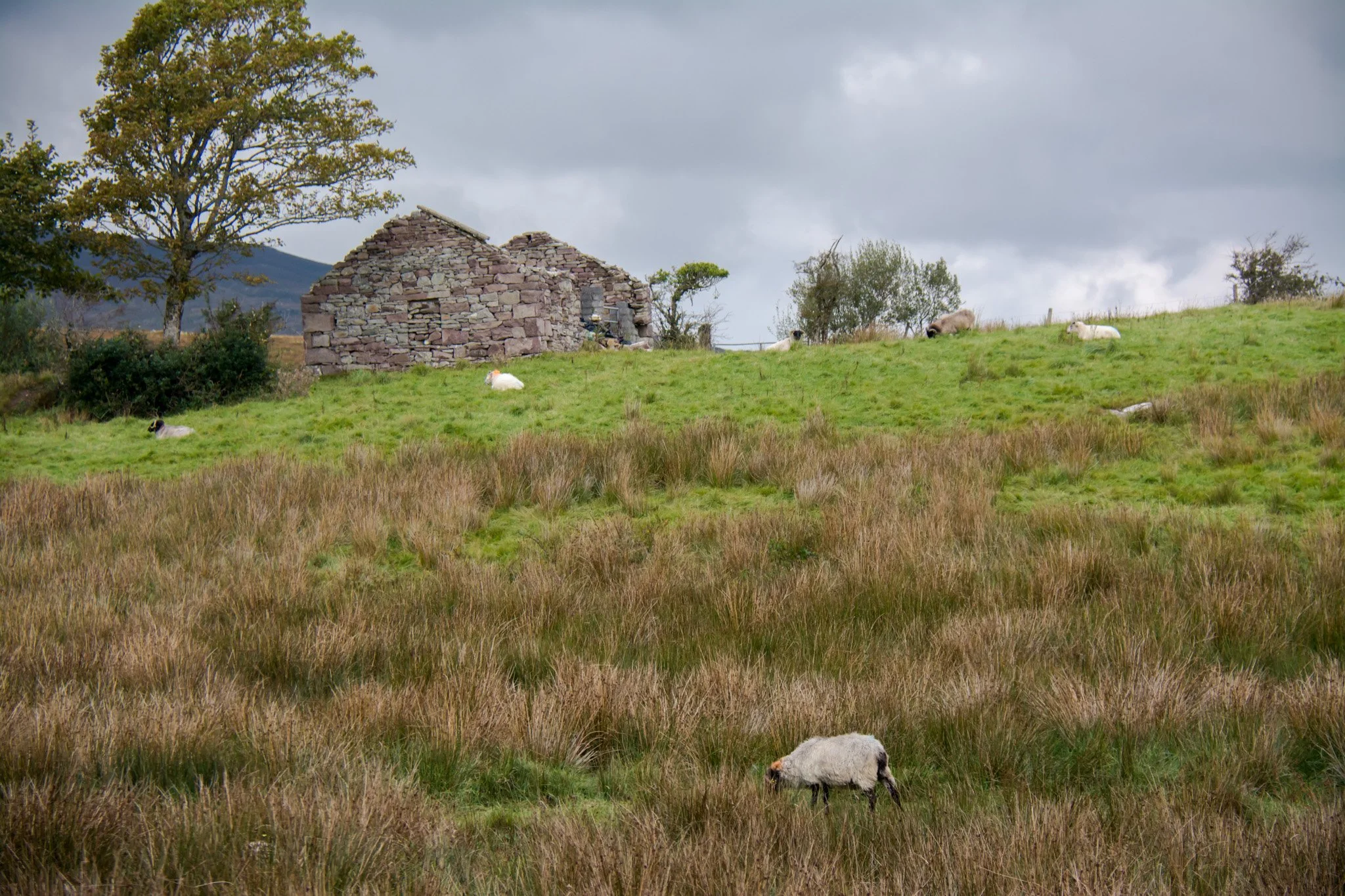 Ireland-25.jpg