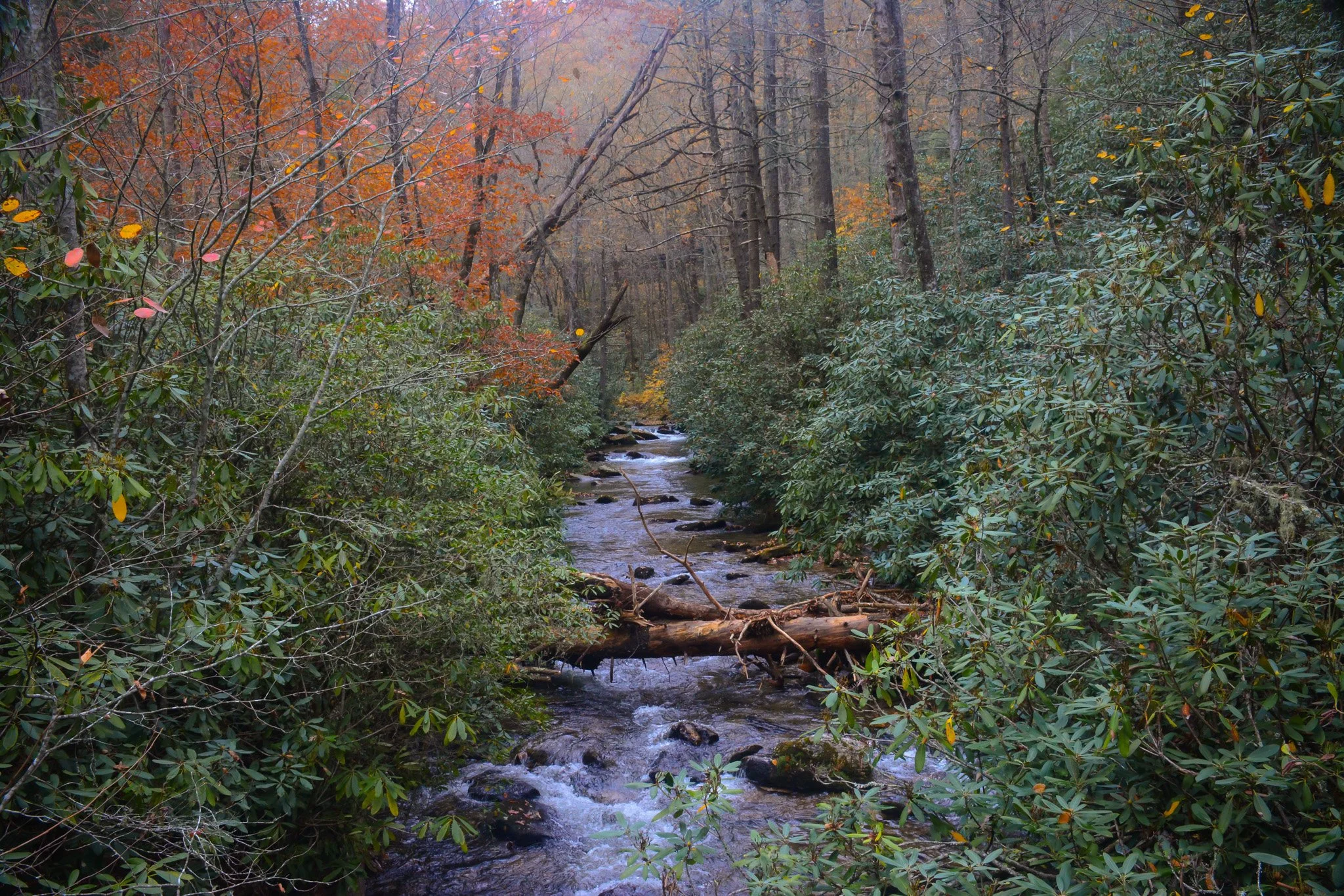 Autumn-08.jpg