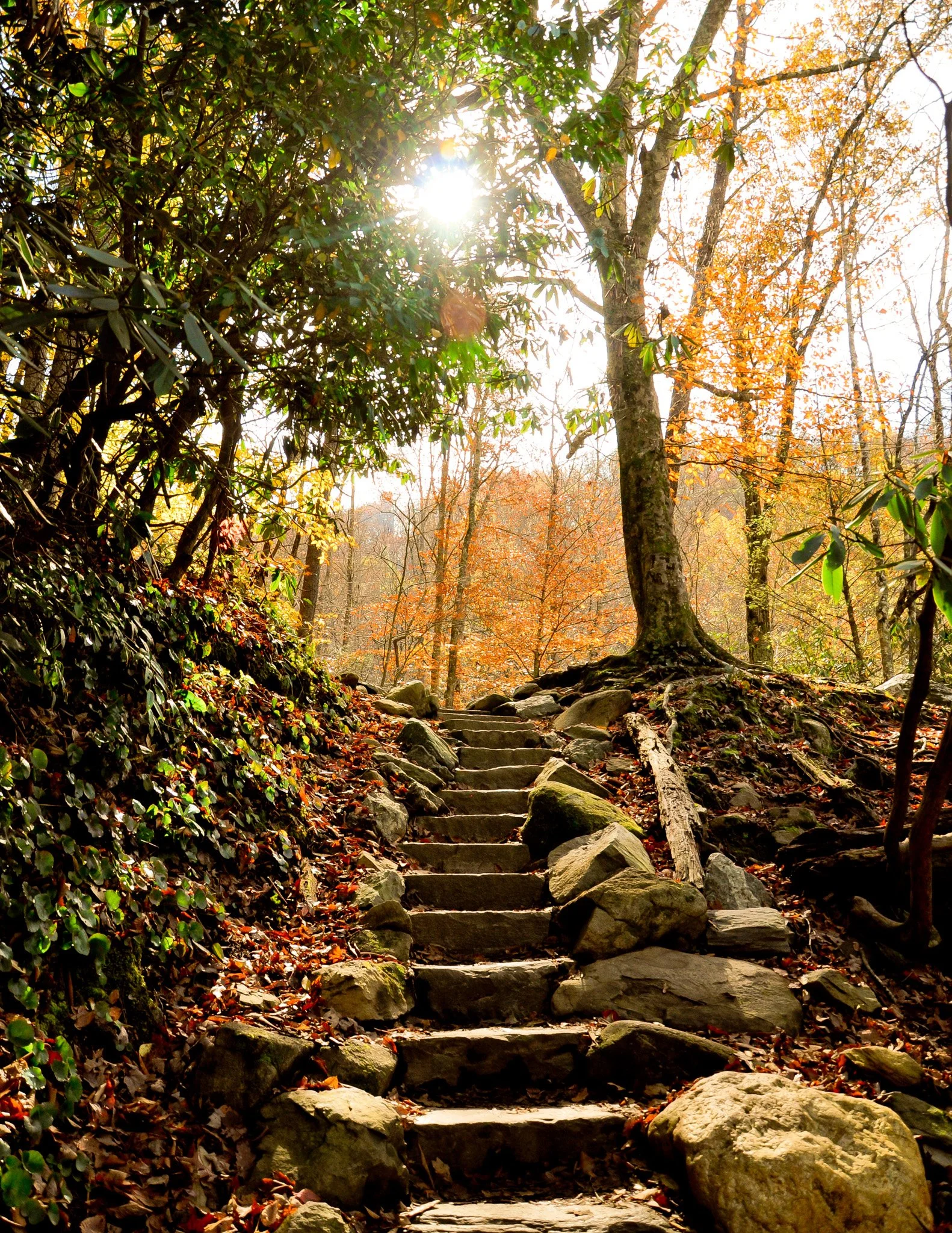 Autumn-31.jpg