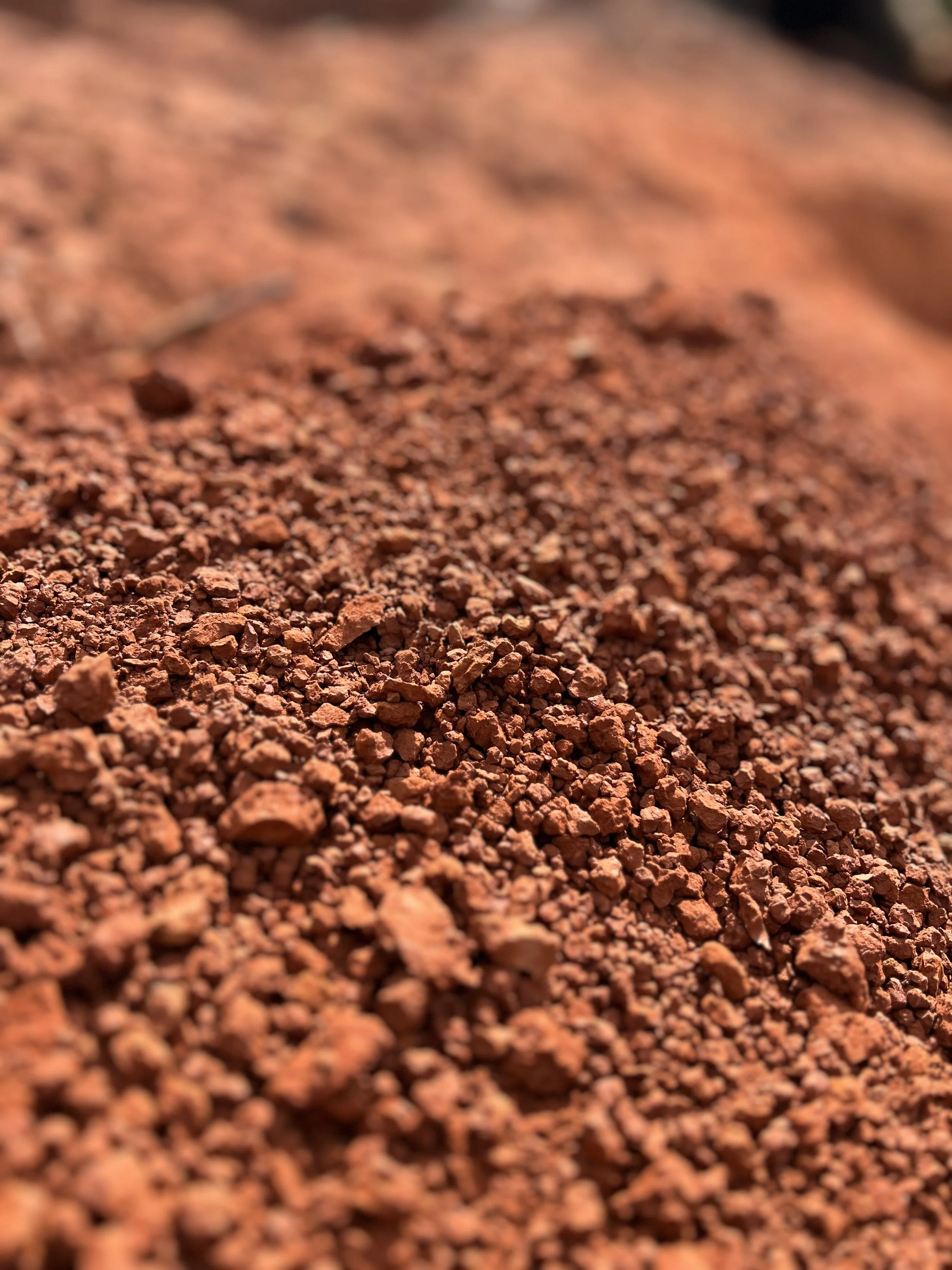 Close-up of reddish-brown soil or dirt with small rocks and particles.