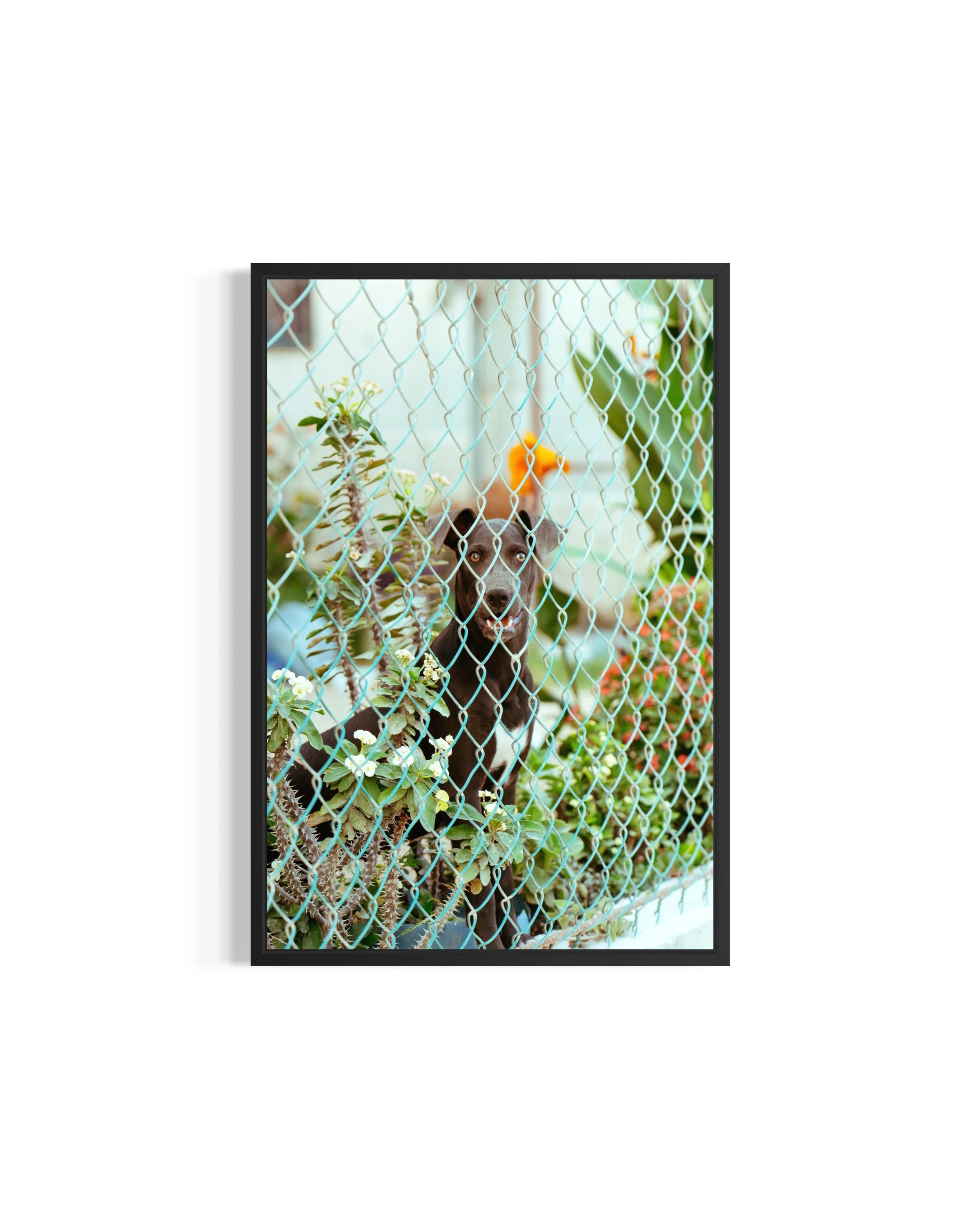 Framed