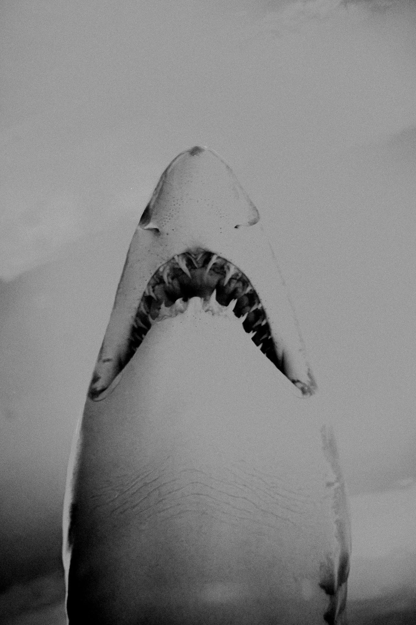 DSCF4813-Enhanced-NR.jpg