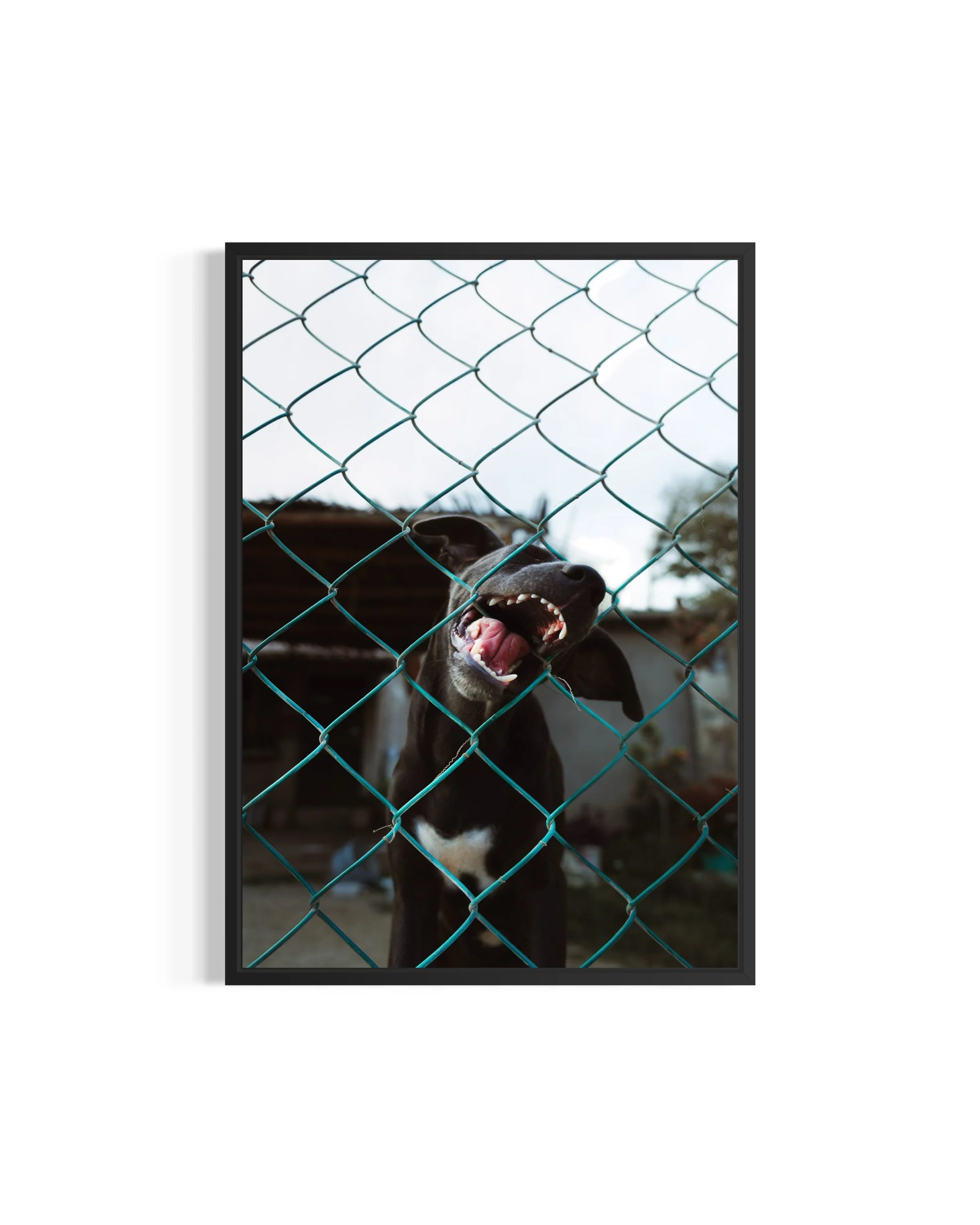 Your inner Dog