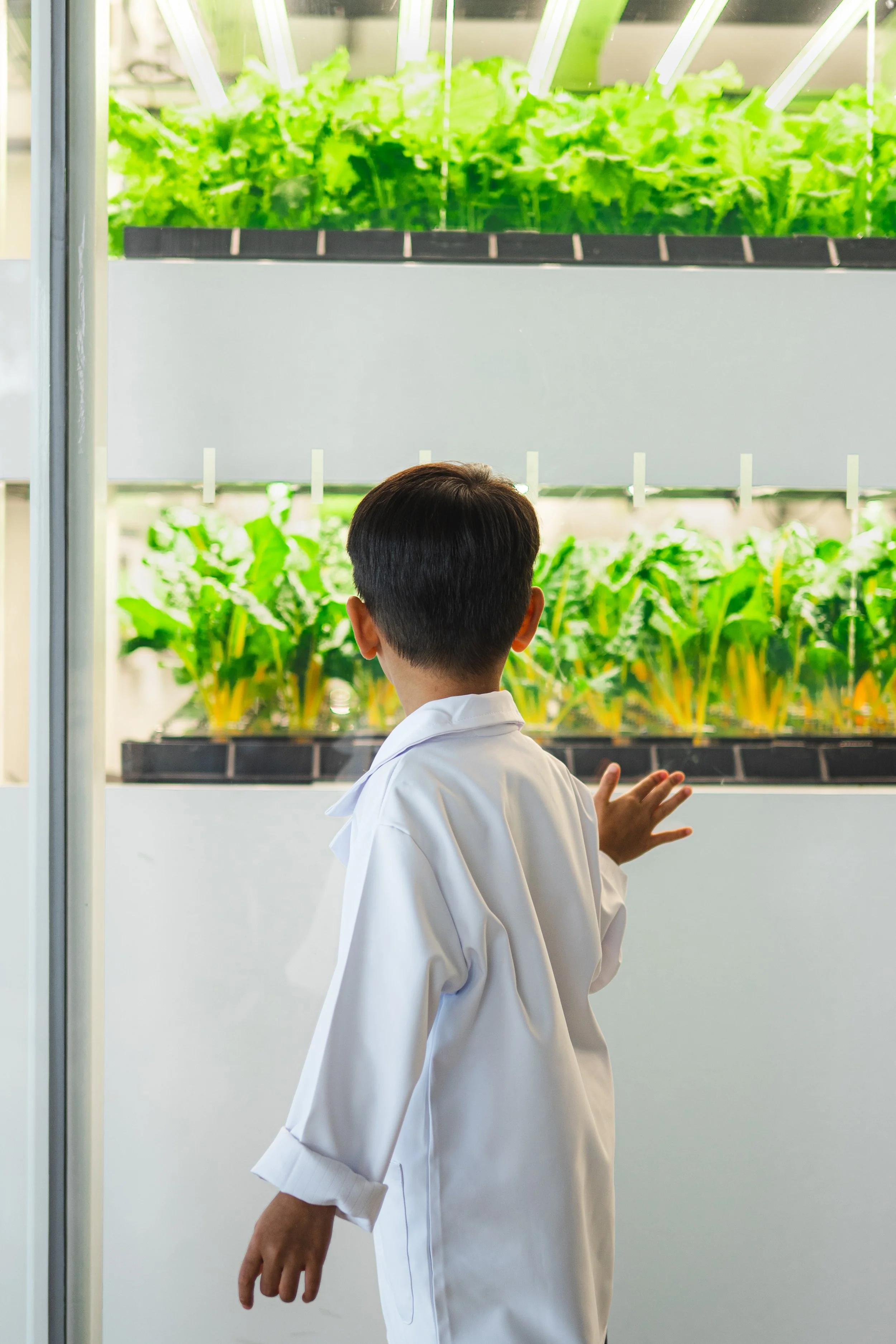 Copy of HID_9303_smart farm edited.jpg