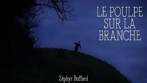 Le poulpe sur la branche - Court métrage