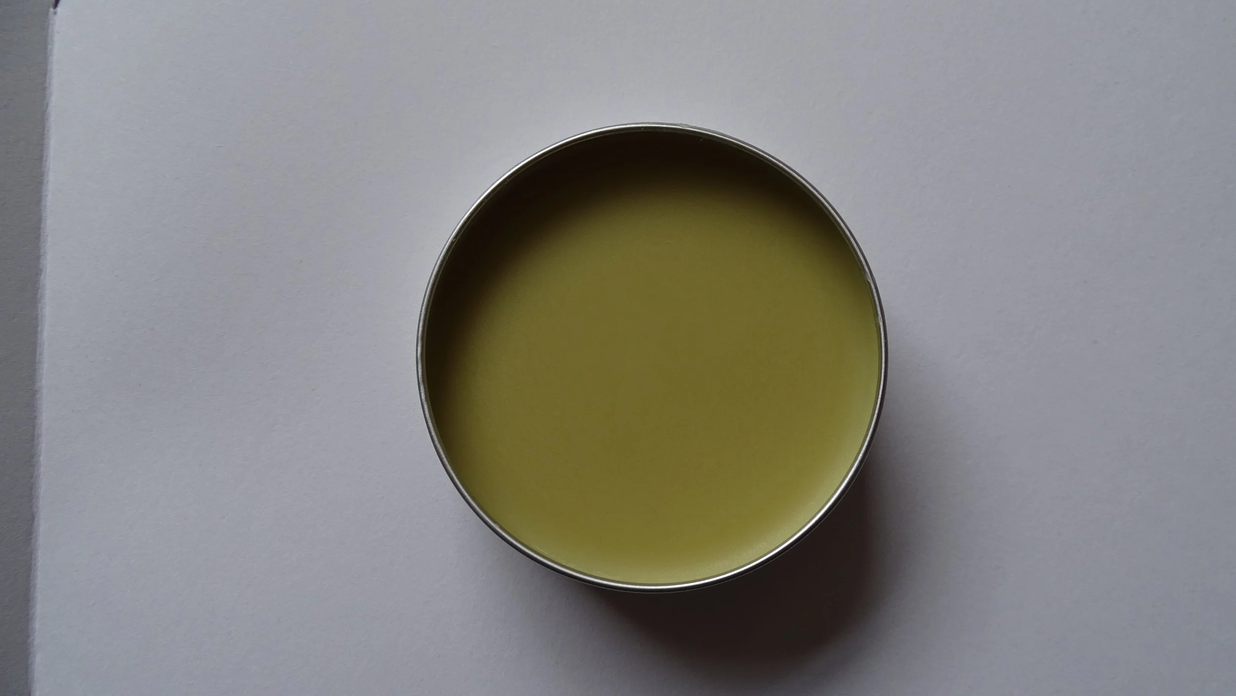 EMF SHIELD - Original 'Embody' LARGE INTERNAL.JPG