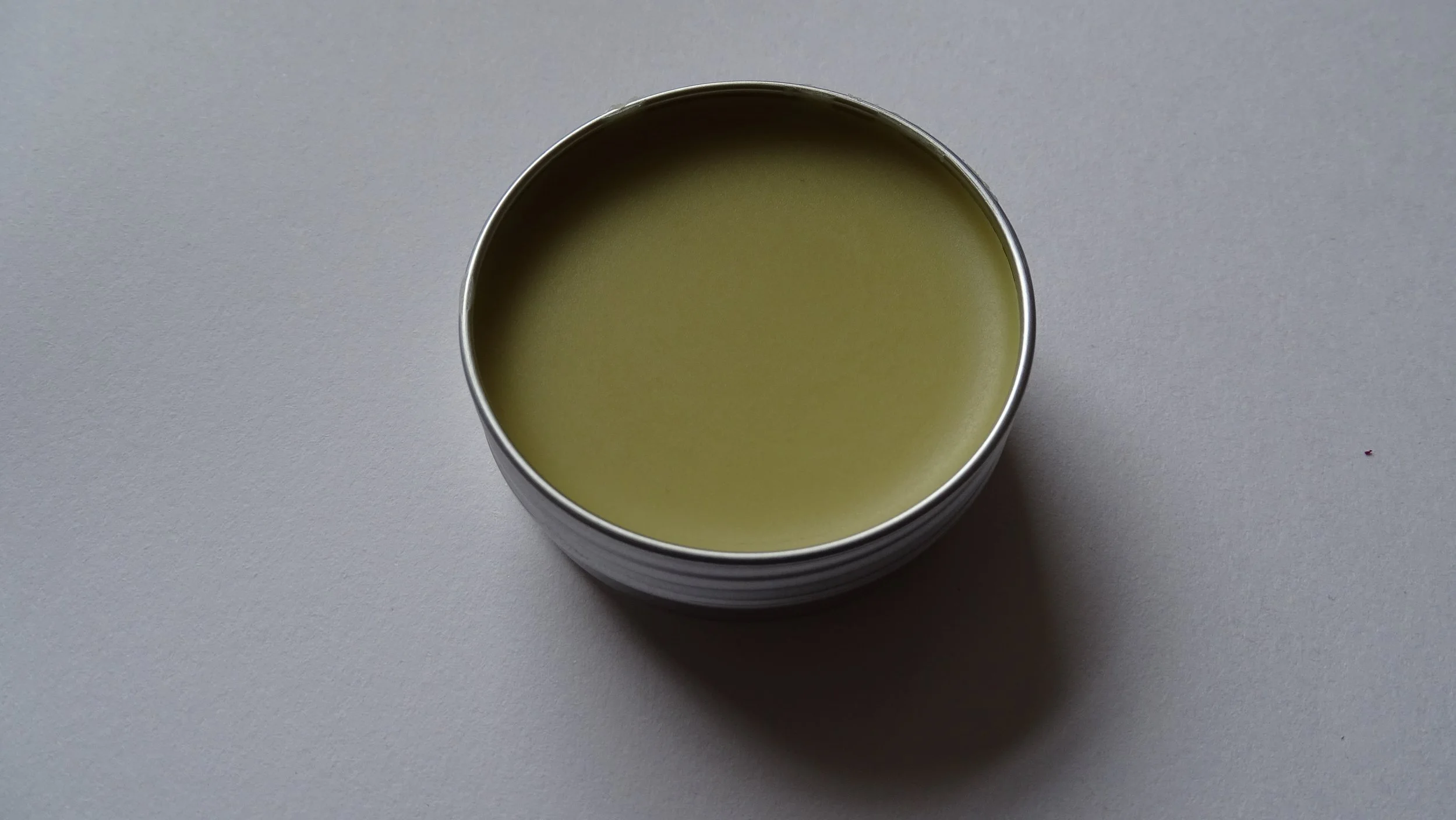 EMF SHIELD - Original 'Embody'  MEDIUM INTERNAL.JPG