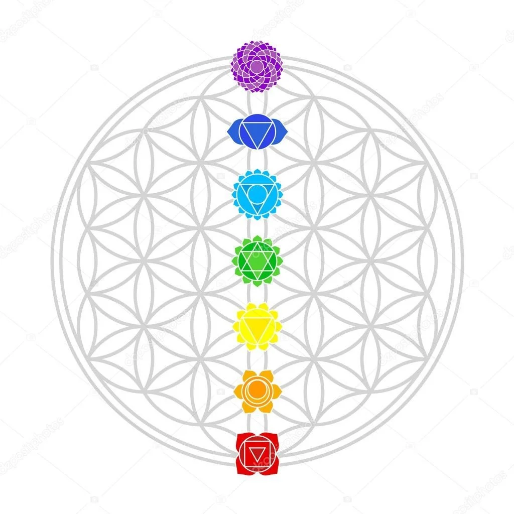 A schematic diagram of the seven chakras aligned along a geometric pattern called the Flower of Life, with each chakra represented by a colored symbol. From bottom to top: red root chakra, orange sacral chakra, yellow solar plexus, green heart, blue throat, indigo third eye, and violet crown chakra.