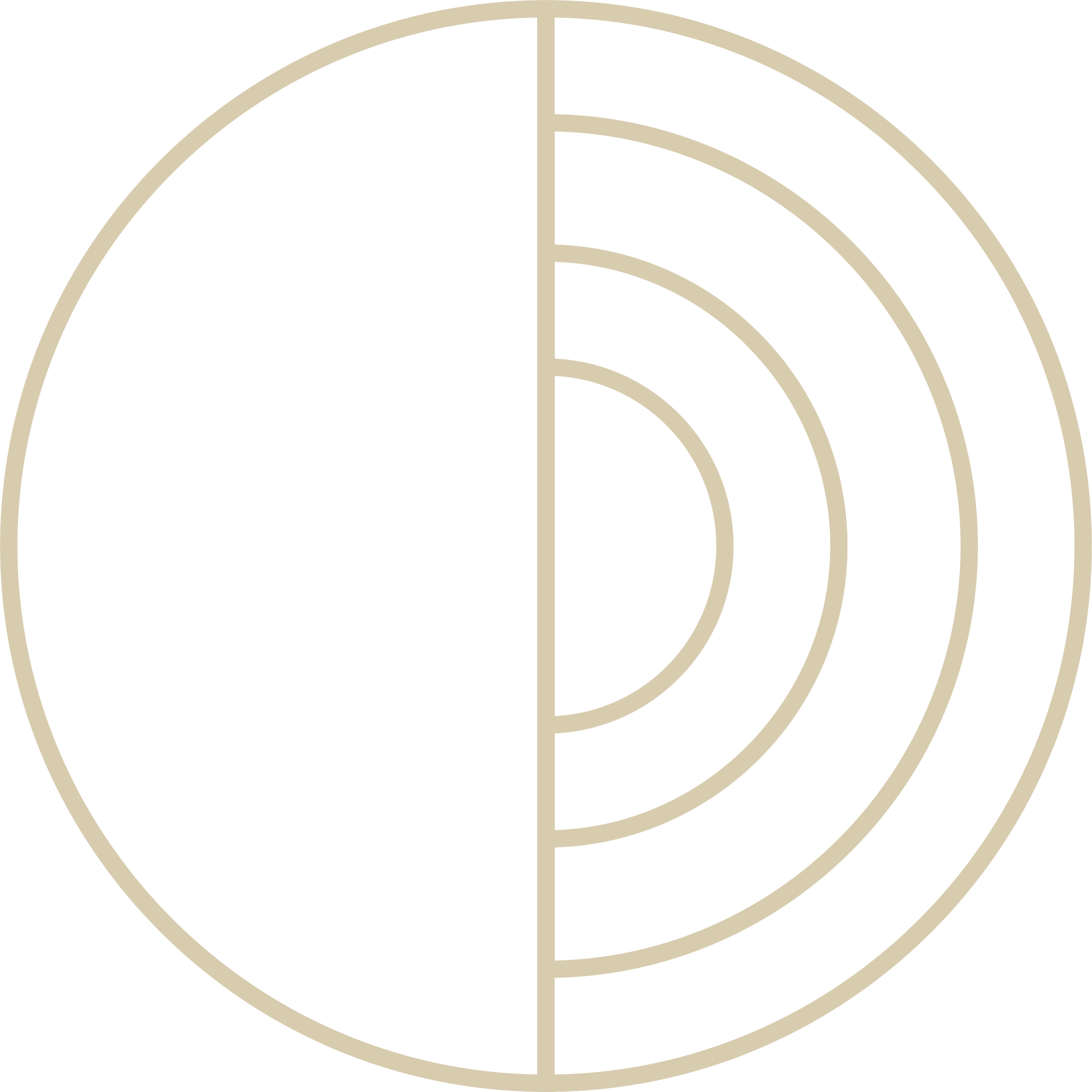 Een zwart en beige geometrisch ontwerp met cirkels en lijnen.