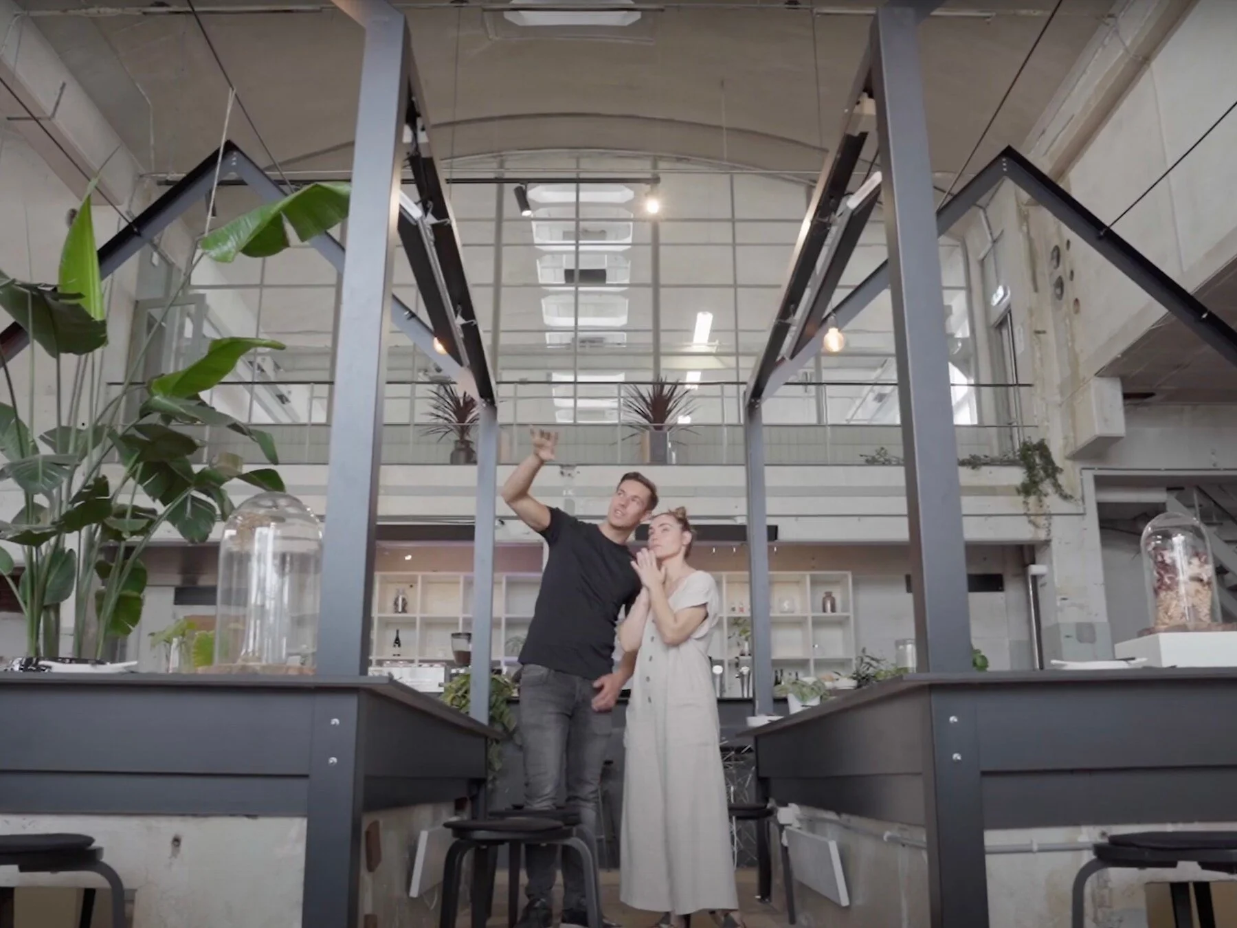 The Story of Our Restaurant: A Cathedral of Nourishment
