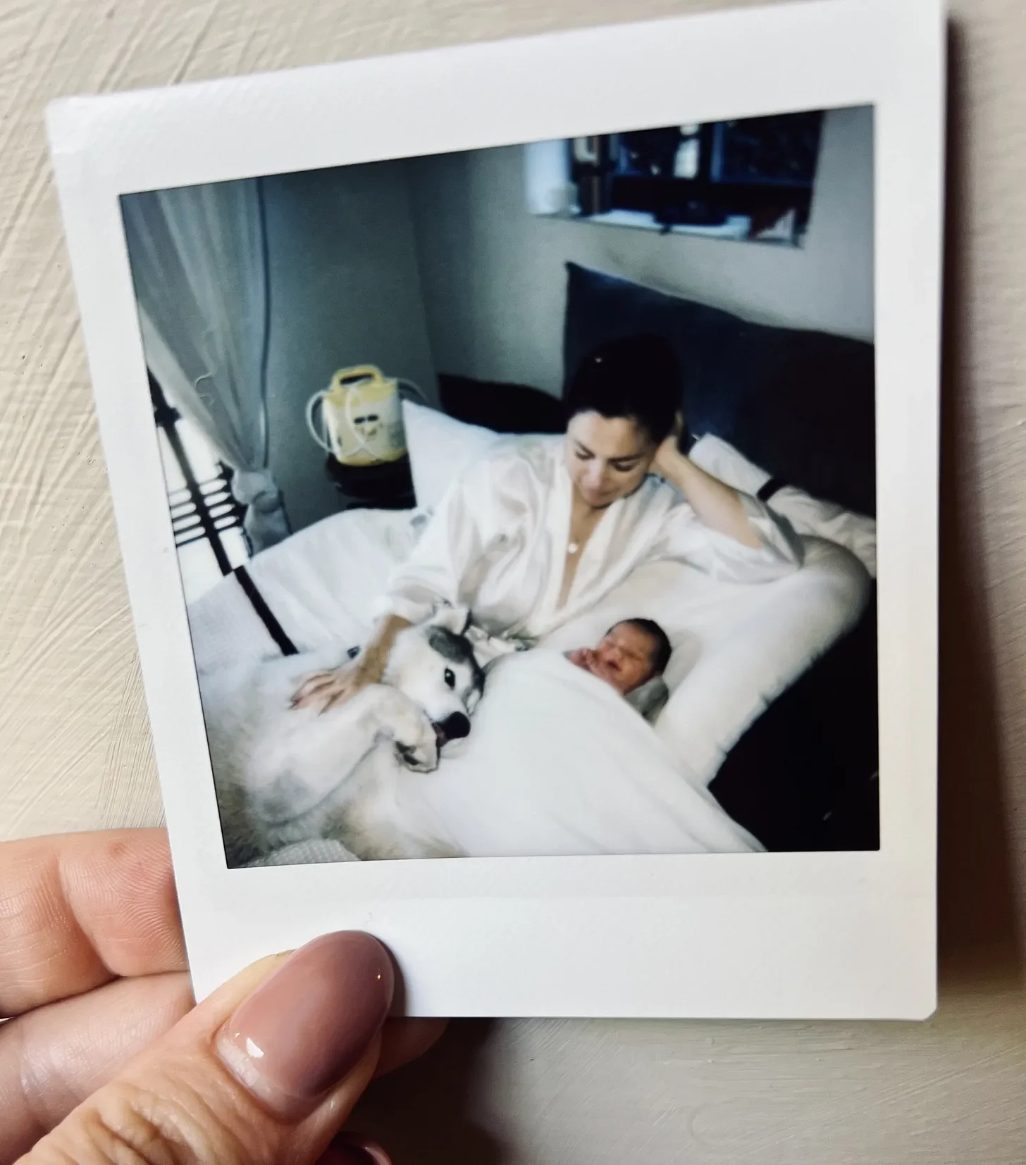 A woman in a hospital bed with a newborn baby, a husky puppy, and a yellow bag on the nightstand in the background.