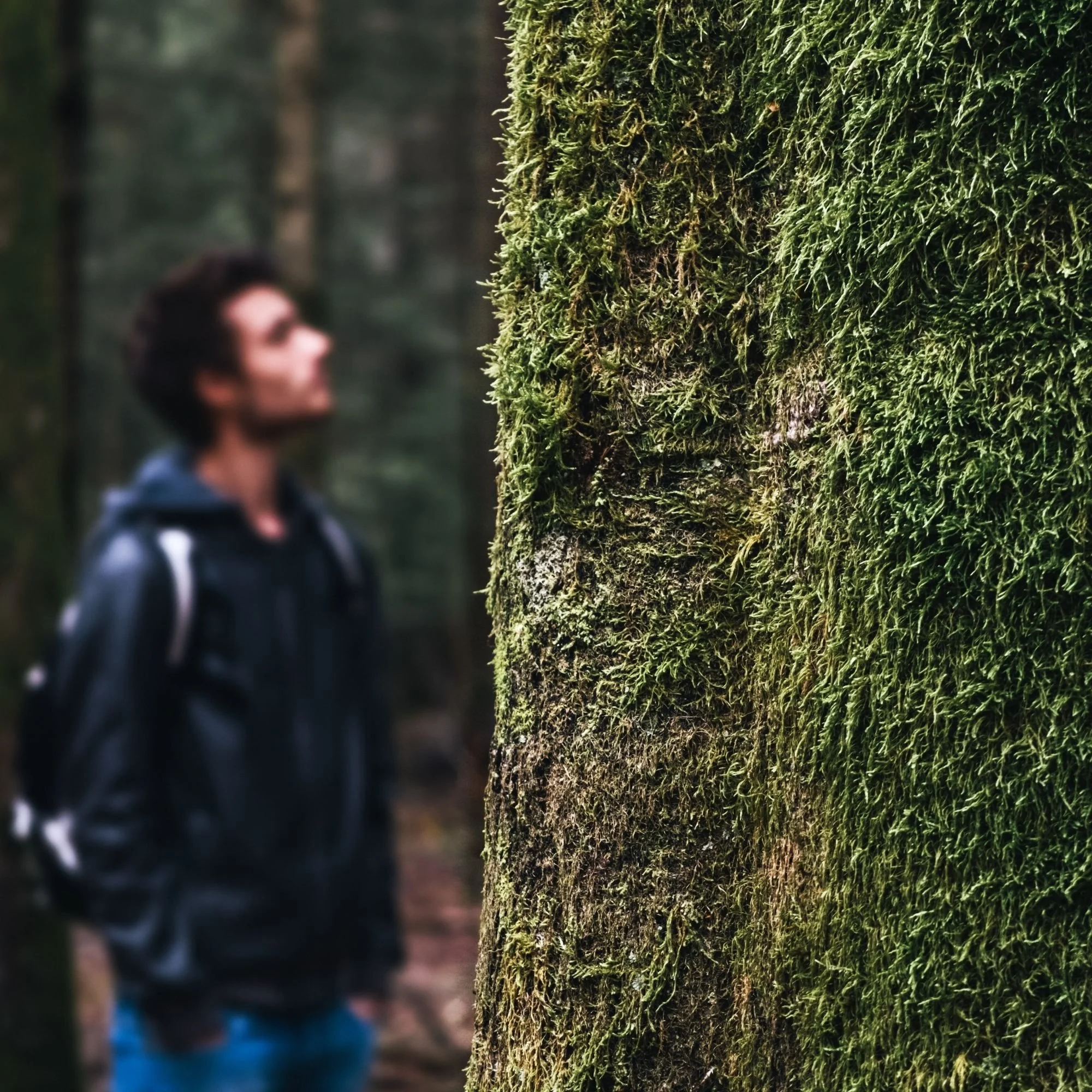 Trainingen voor leiders