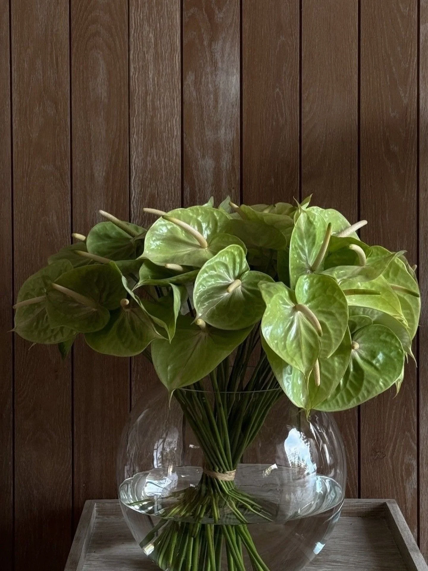 Romantic restraint. Green anthuriums in a glass globe 🌱 a reminder that the table can hold elegance without excess.
origin: Pinterest / artist unknown.