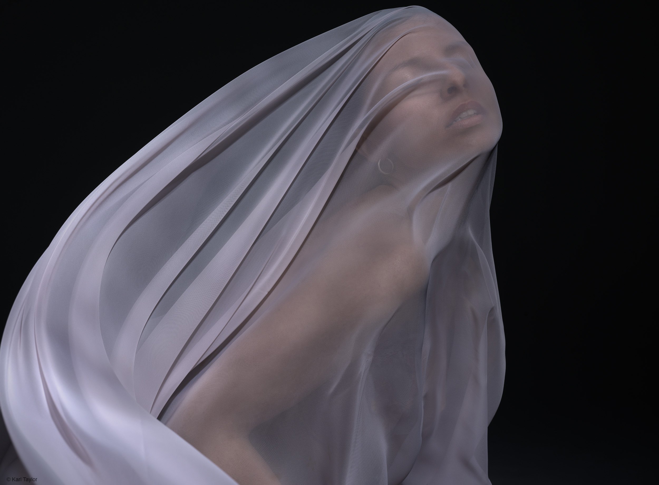 Karl_Taylor_unveiled emotions.jpg