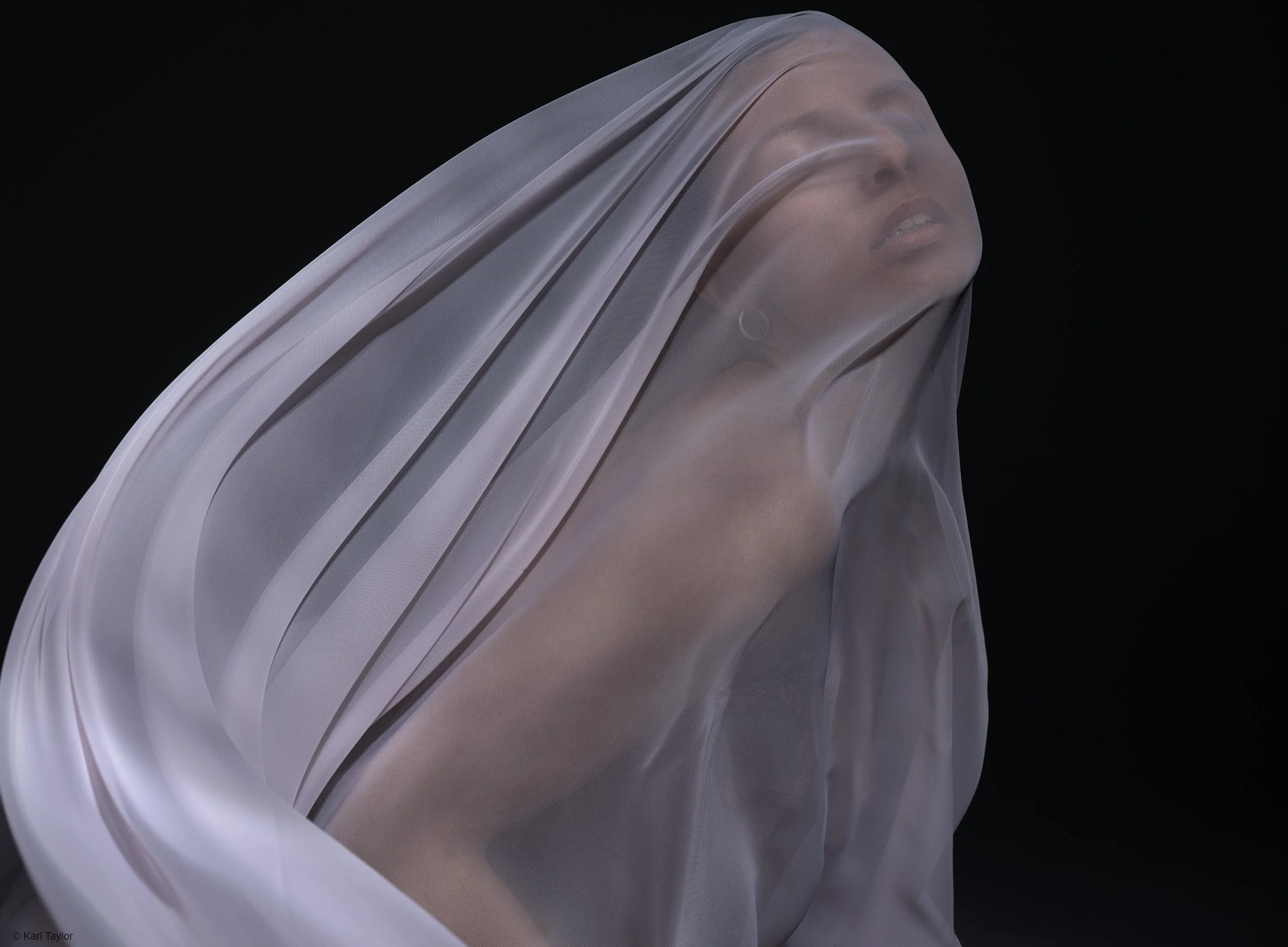 Karl_Taylor_unveiled emotions.jpg