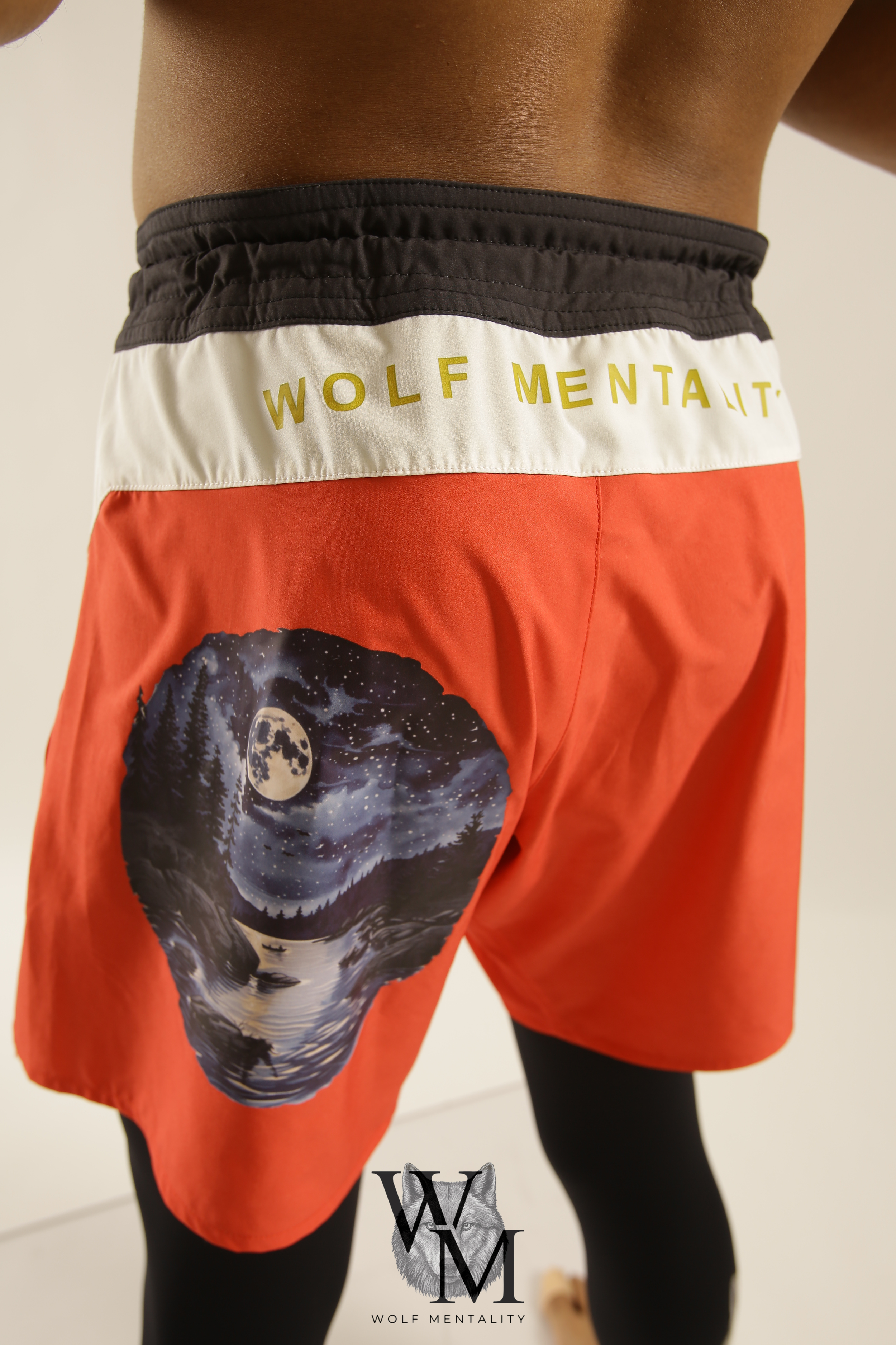 arrière 3 quart.png