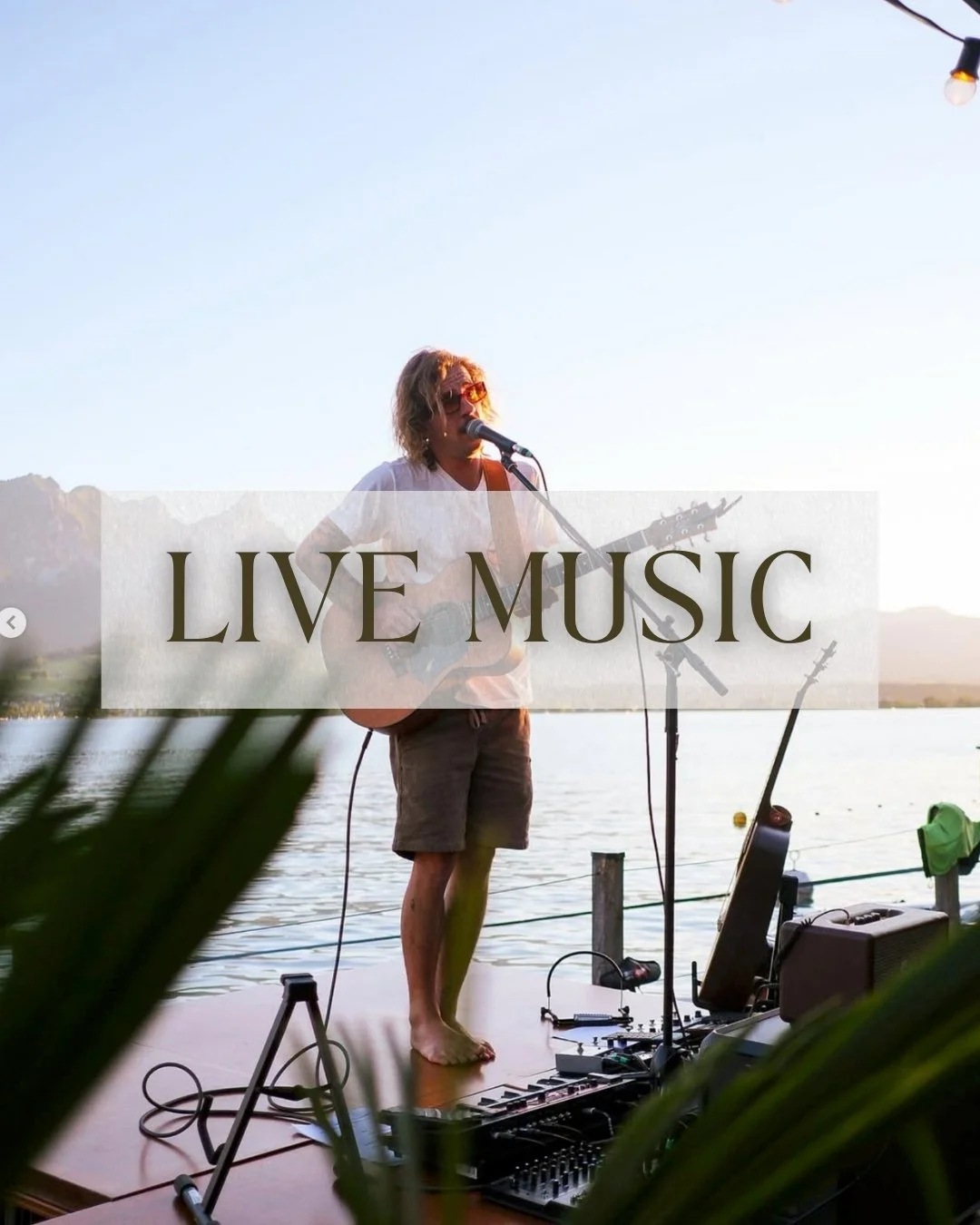 LIVE MUSIC - FELIX NEUMANN