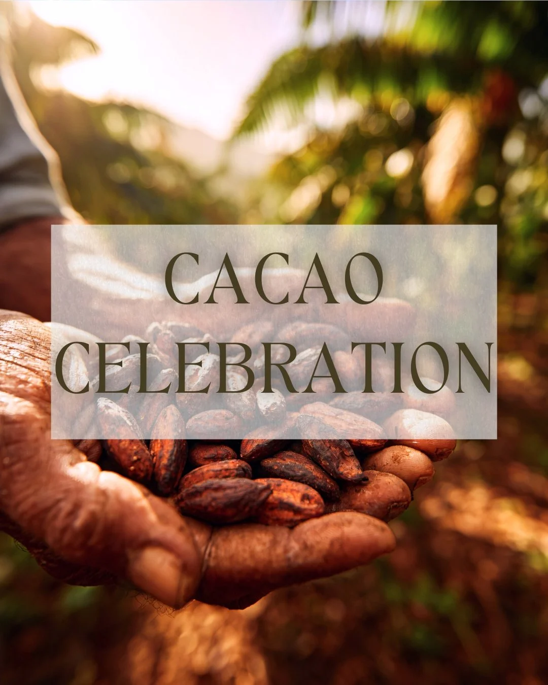 Cacao Celebration