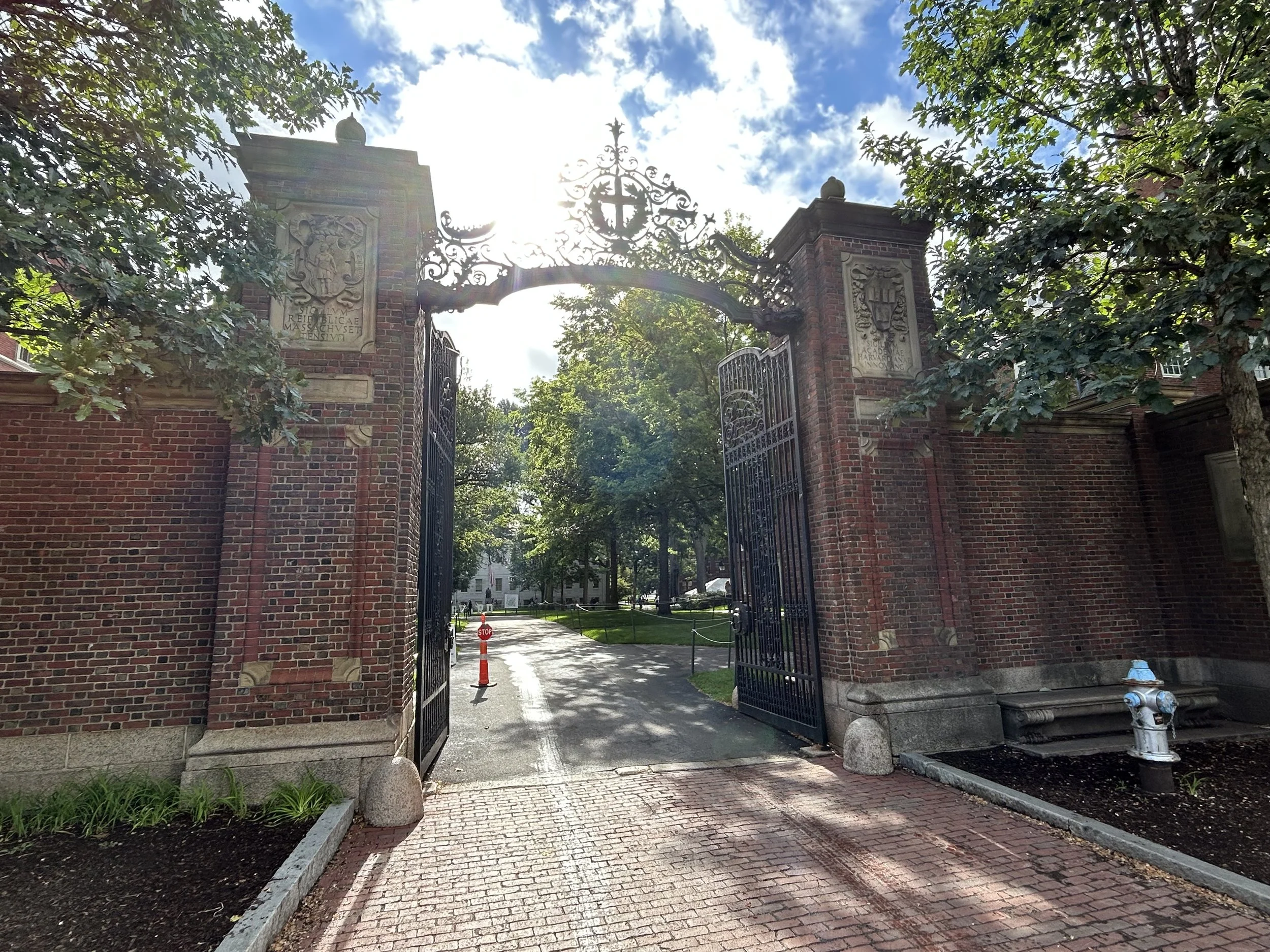 Open iron gate with brick pillars, leading to a tree-lined path on a sunny day.