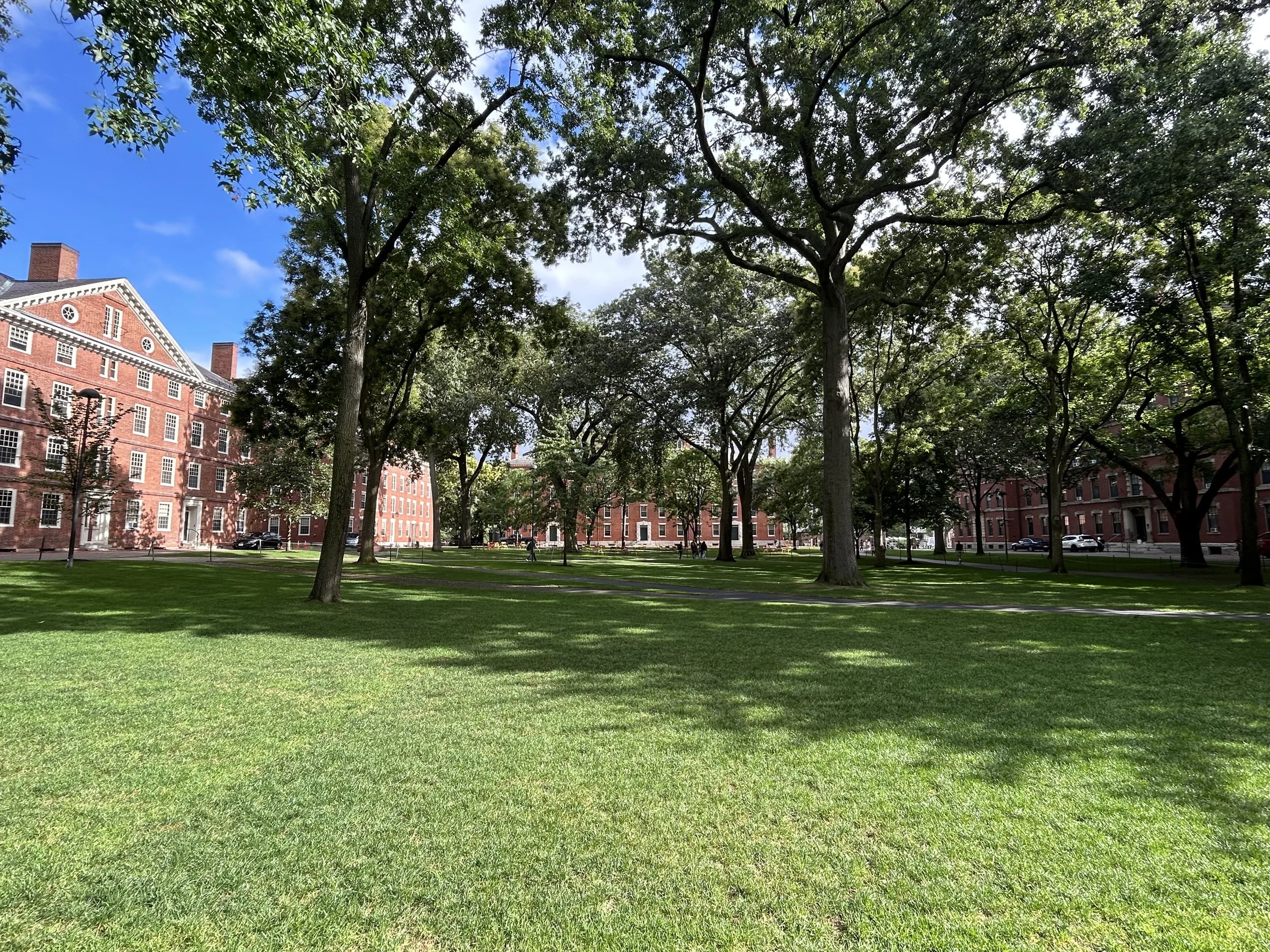 A large green park with trees and grass, surrounded by red brick buildings under a blue sky with some clouds.
