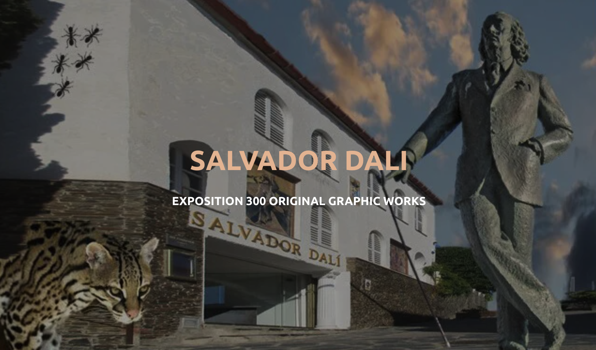 Expo Dali Cadaques