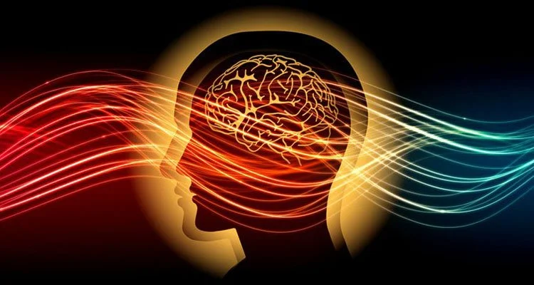 Le Flow State n’est pas un mythe : comment le Neurofeedback le stabilise durablement