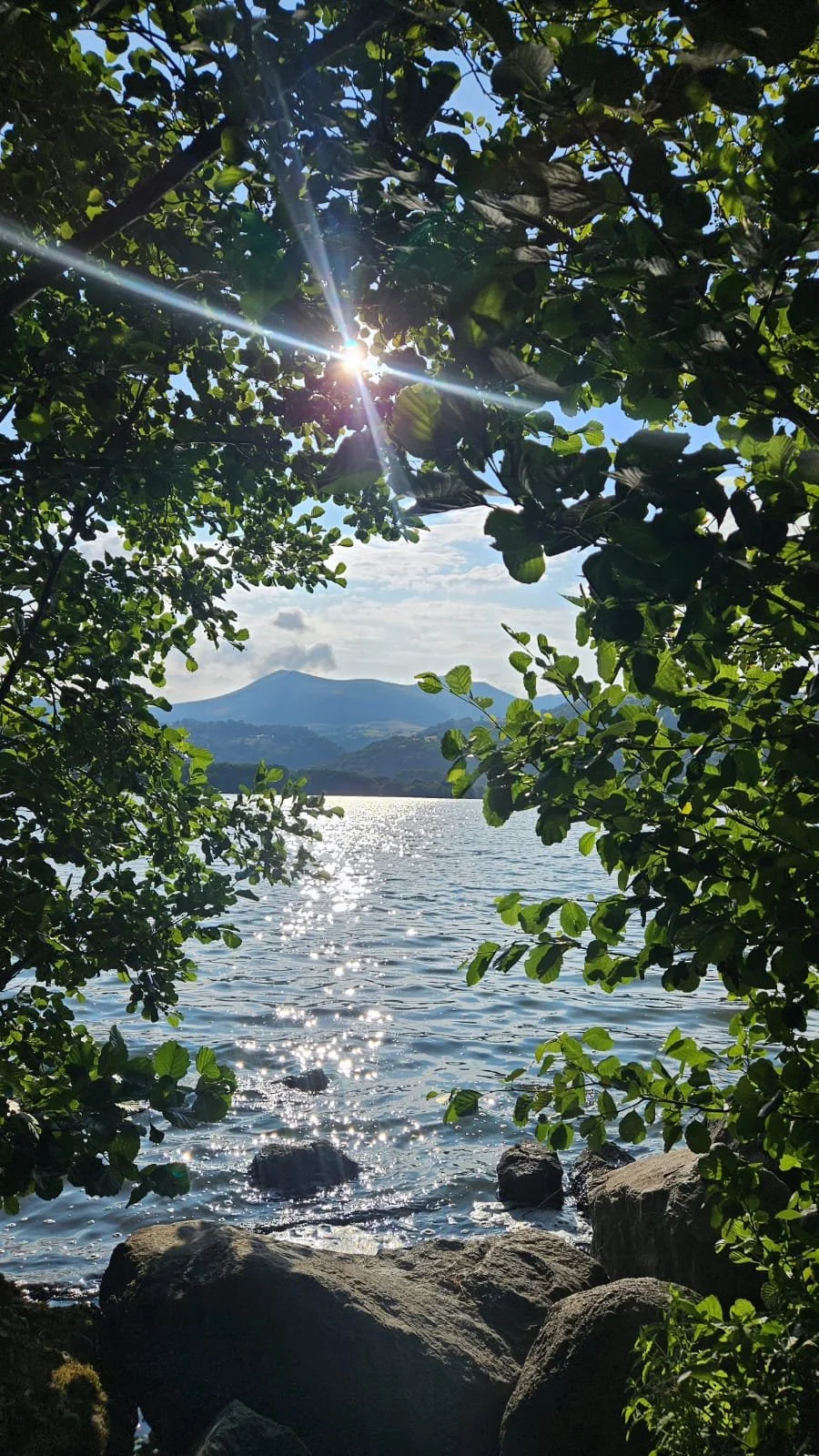 Vue d'un lac avec des rochers au premier plan, entouré d'arbres verts, avec des montagnes en arrière-plan et le soleil brillant dans le ciel, créant des reflets sur l'eau.