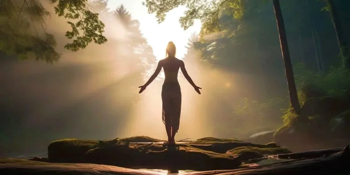 Silhouette d'une personne debout sur une roche dans une forêt, en pleine lumière du soleil traversant les arbres.