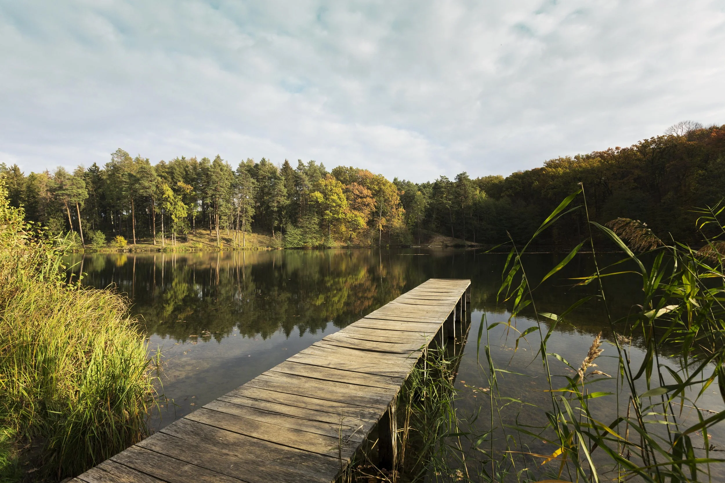 Un pont en bois menant à un lac calme entouré d'arbres de printemps avec un ciel nuageux.