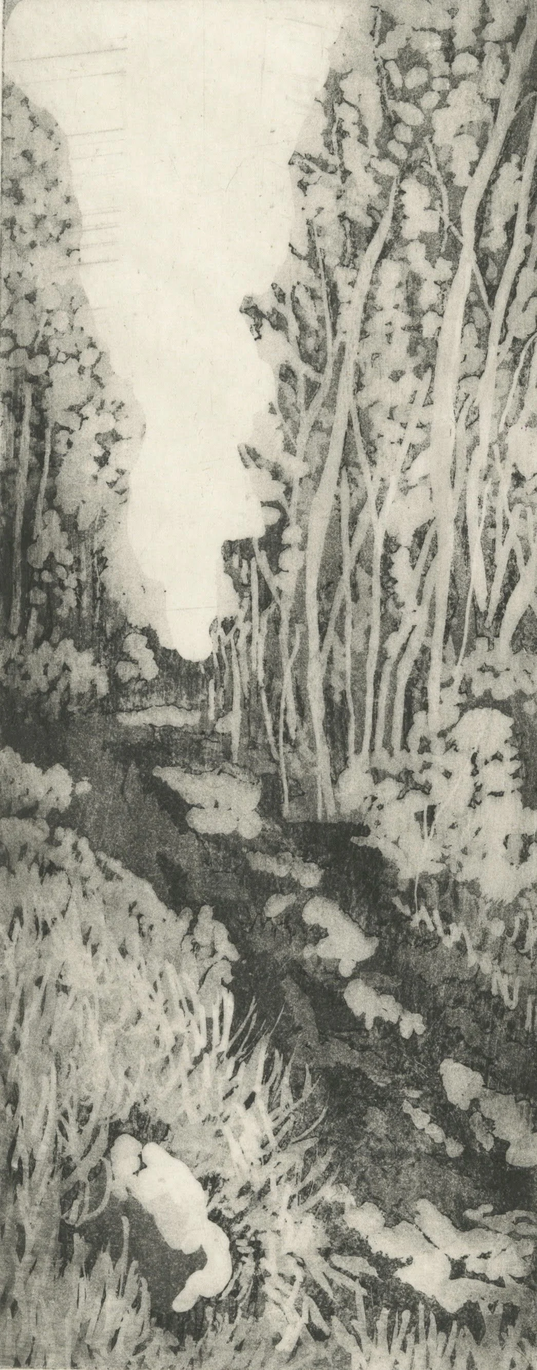 Scan 1(3).jpeg