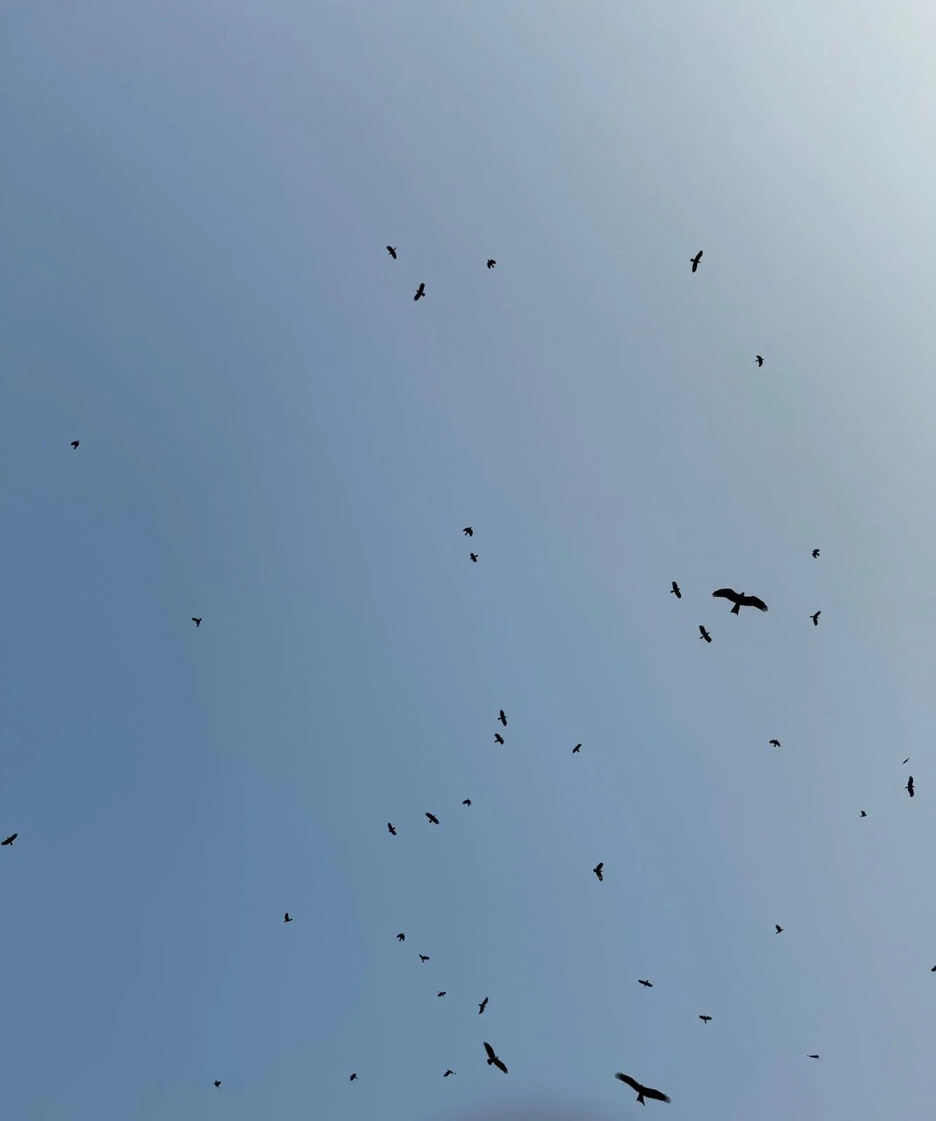 b2759a18-e077-4160-b8a4-35a7d836ce56.jpg