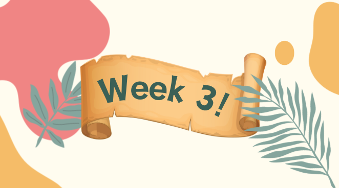Week 3!