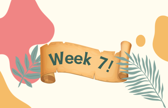 Week 7!