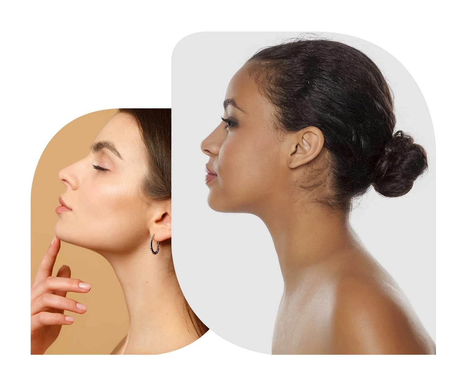 Side profile of two women with contrasting skin tones and hair styles, one with lighter skin and brown hair, the other with darker skin and dark hair tied in a bun.