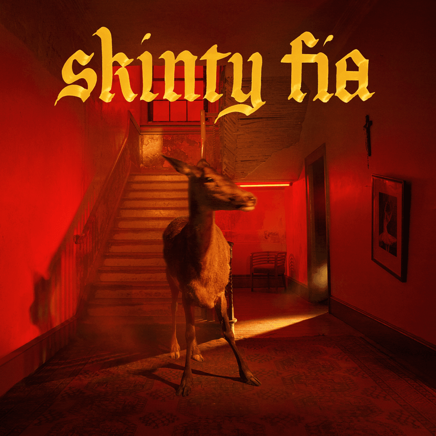 Day 312: Fontaines D.C. – Skinty Fia