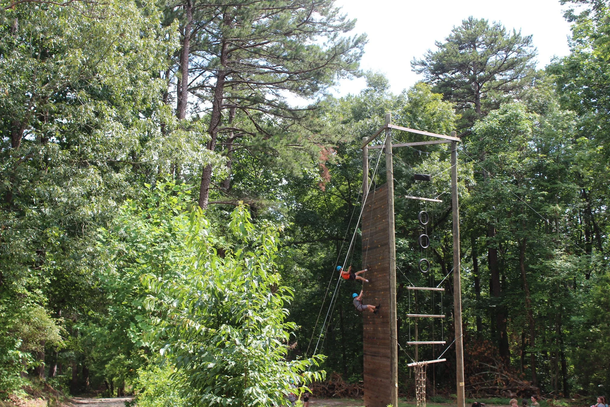 53846604371_aef905e9dd_k (1).jpg