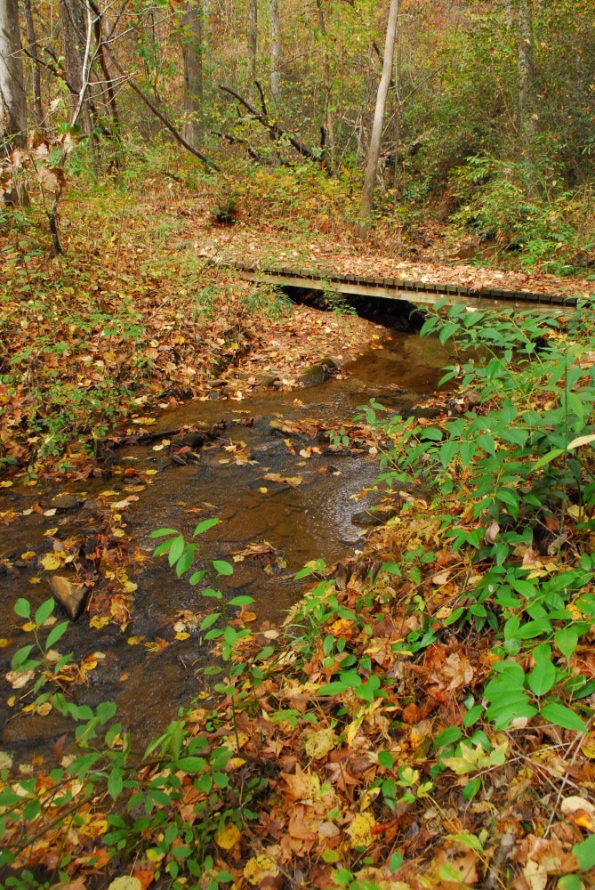 CampCreekFall.jpeg