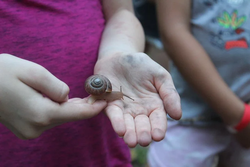 Nature Helps Kids Thrive