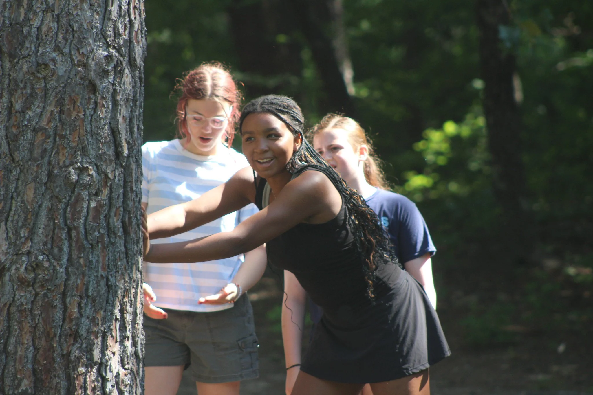 53805053373_ef70f8b41b_k (1).jpg