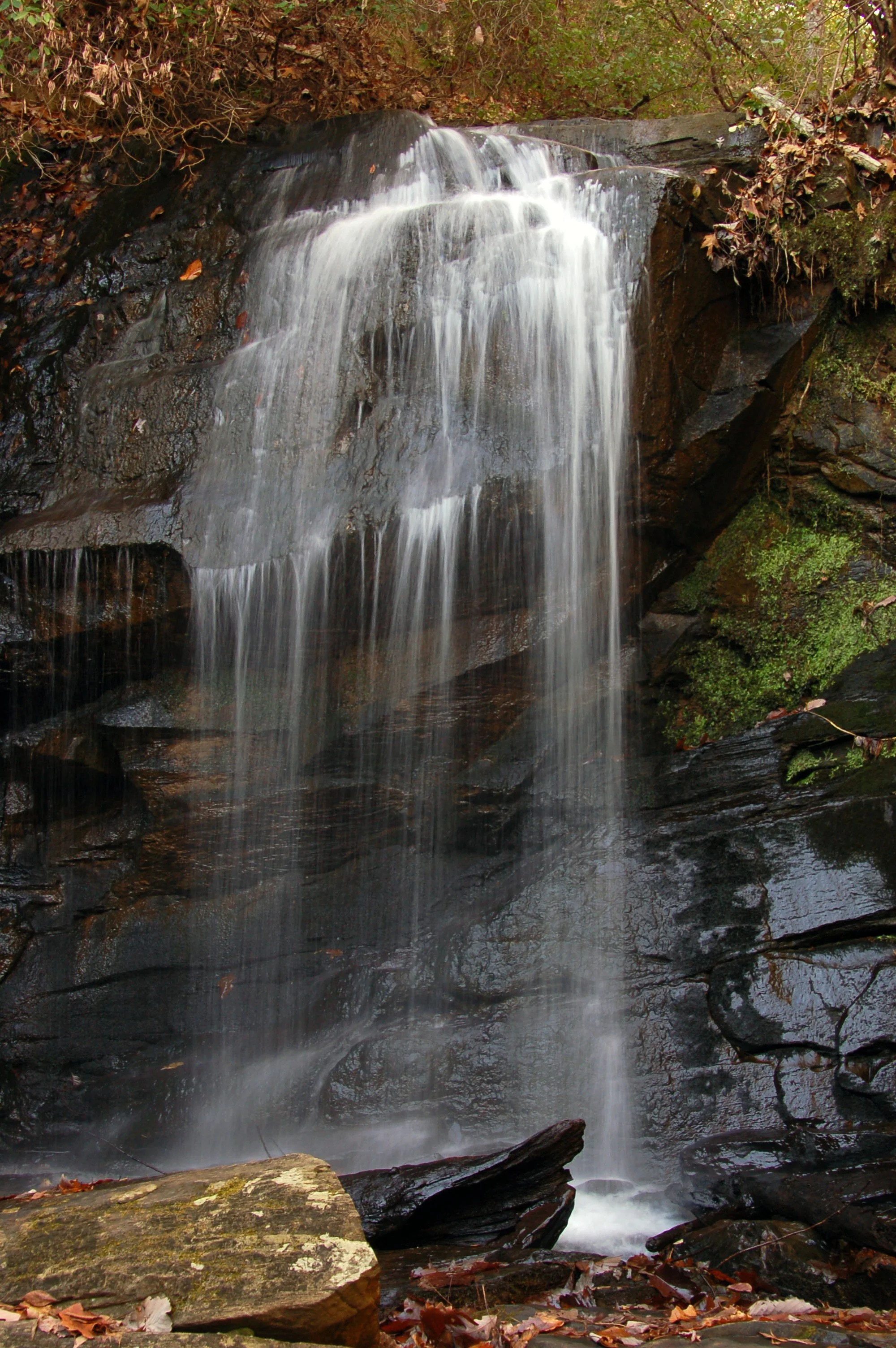 DSC_0387.JPG