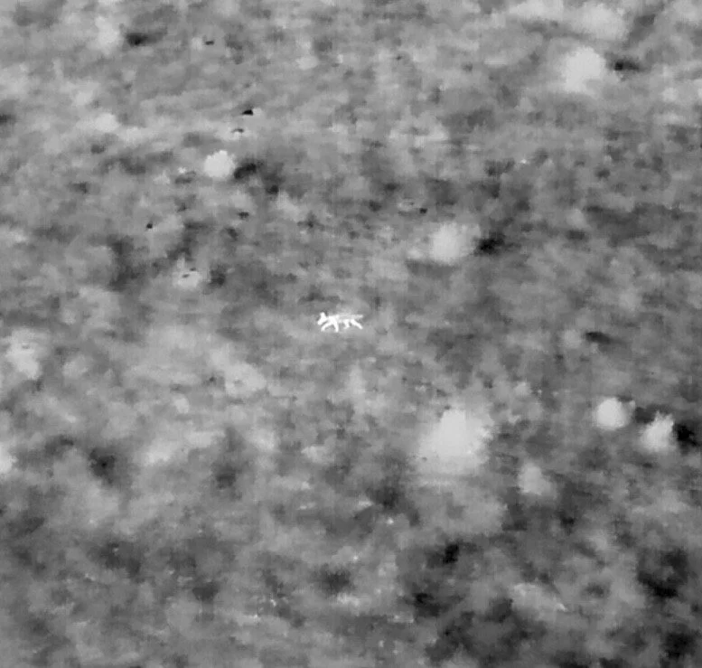 A tiny snow crab on a snow-covered ground.
