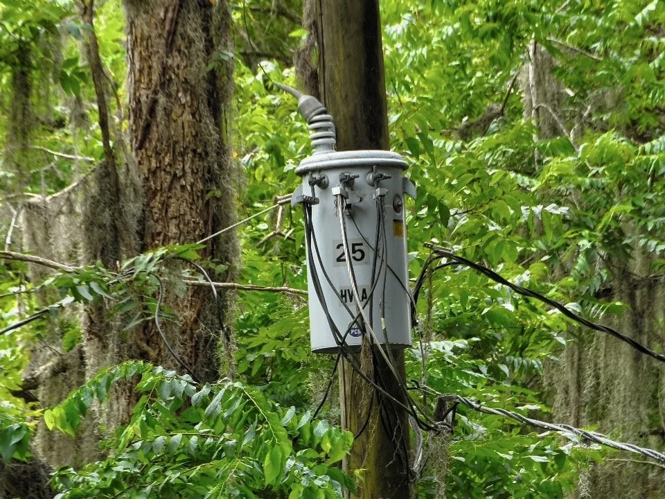 Electrical transformer mounted on a wooden pole in a forested area, surrounded by green leaves and trees.