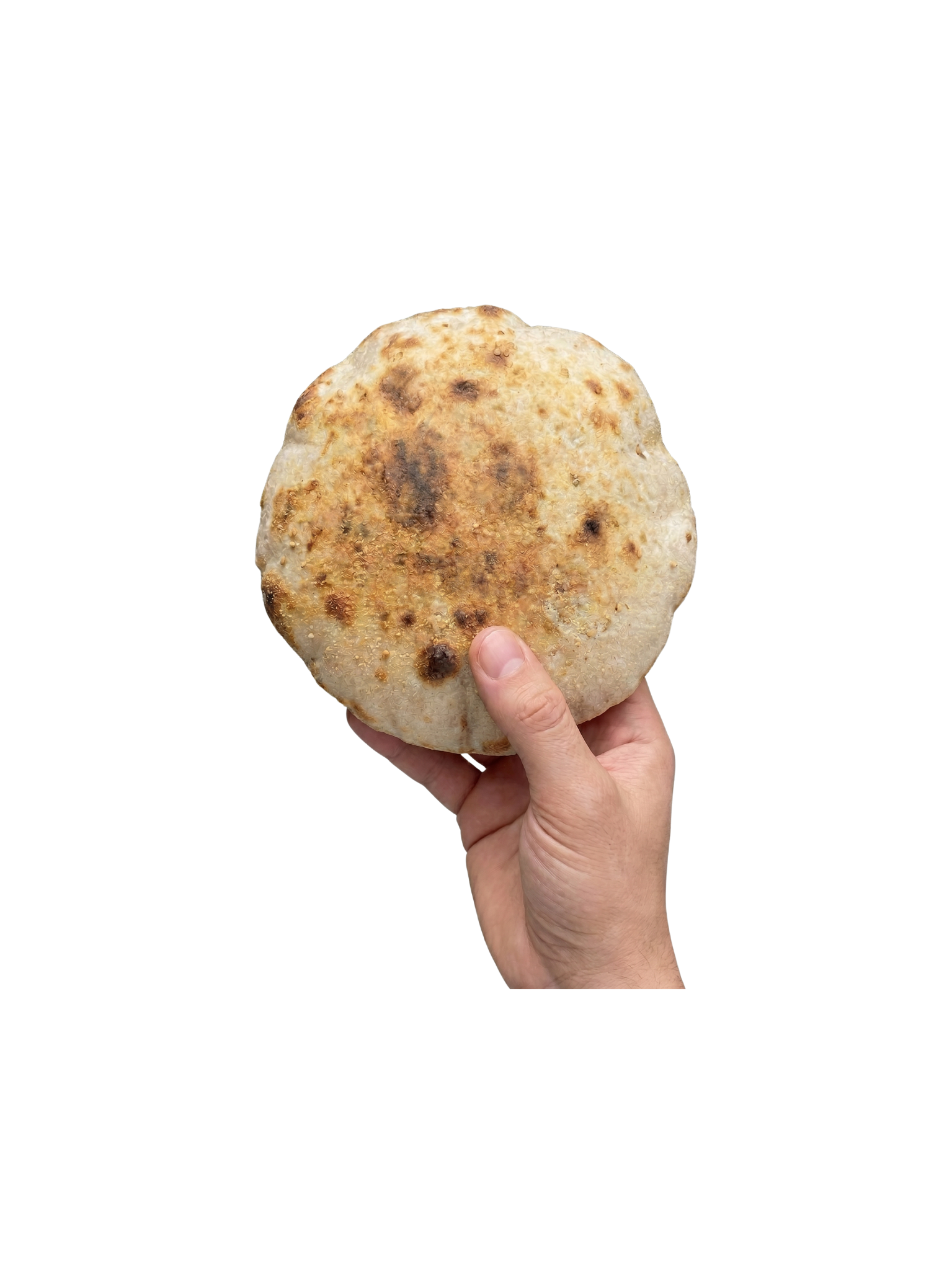 baladi-bread-arayes-hawawshi-pita.jpg.png