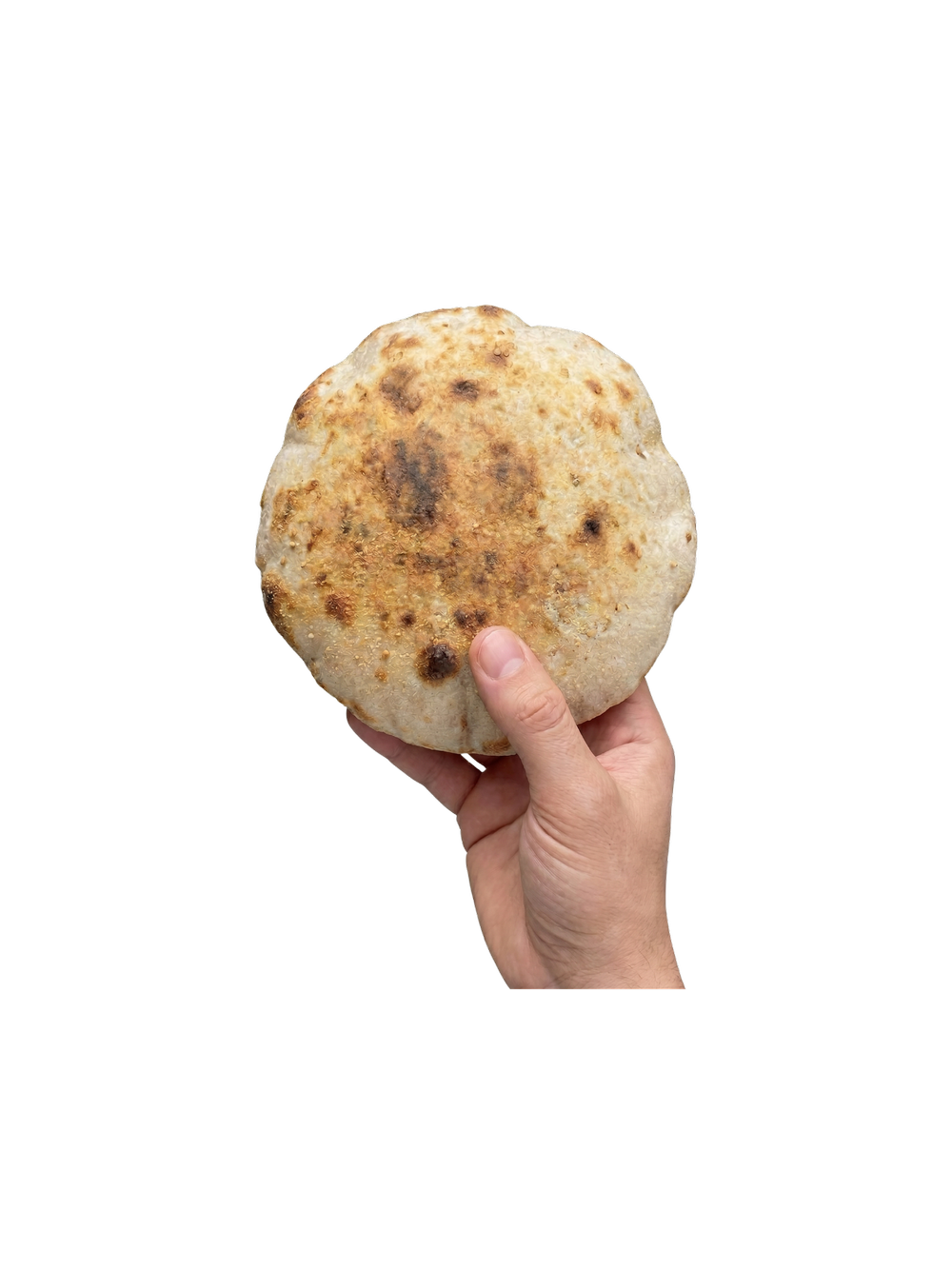 Egyptian Baladi Bread (Aesh Baladi) — Baladi Bread - Fresh Egyptian ...
