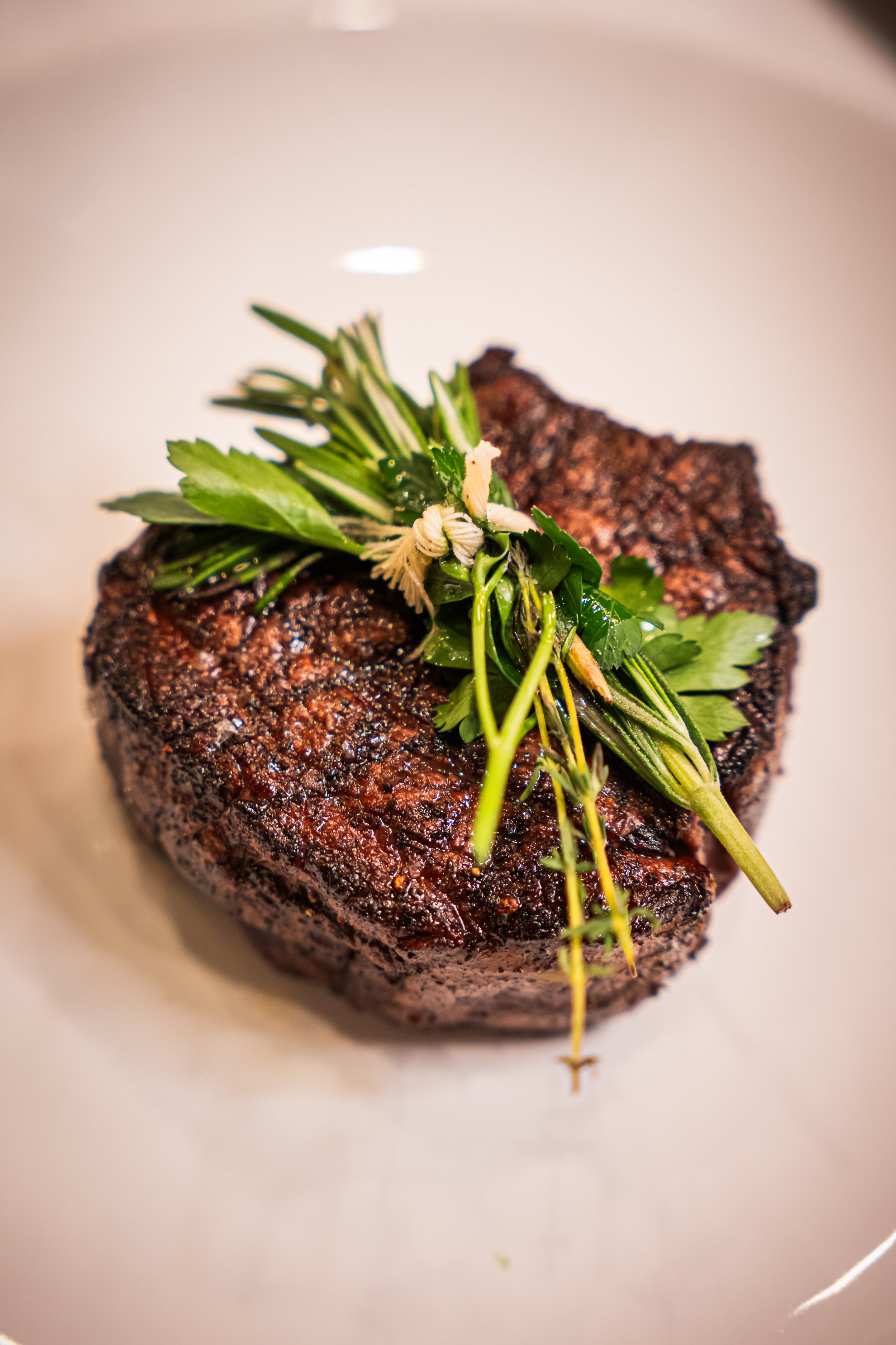 Grilled steak garnished with fresh herbs on a white plate.