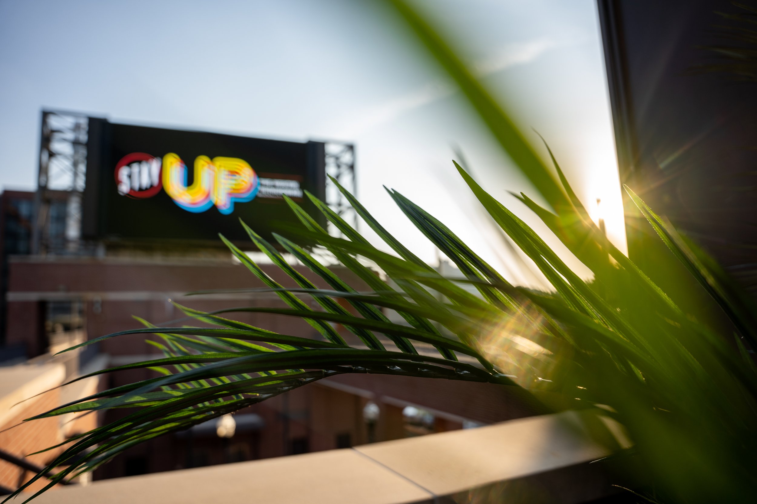 A close-up of green palm leaves with sunlight shining through, against a background of a building and a billboard with the colorful words 'STOP UP' during sunset.